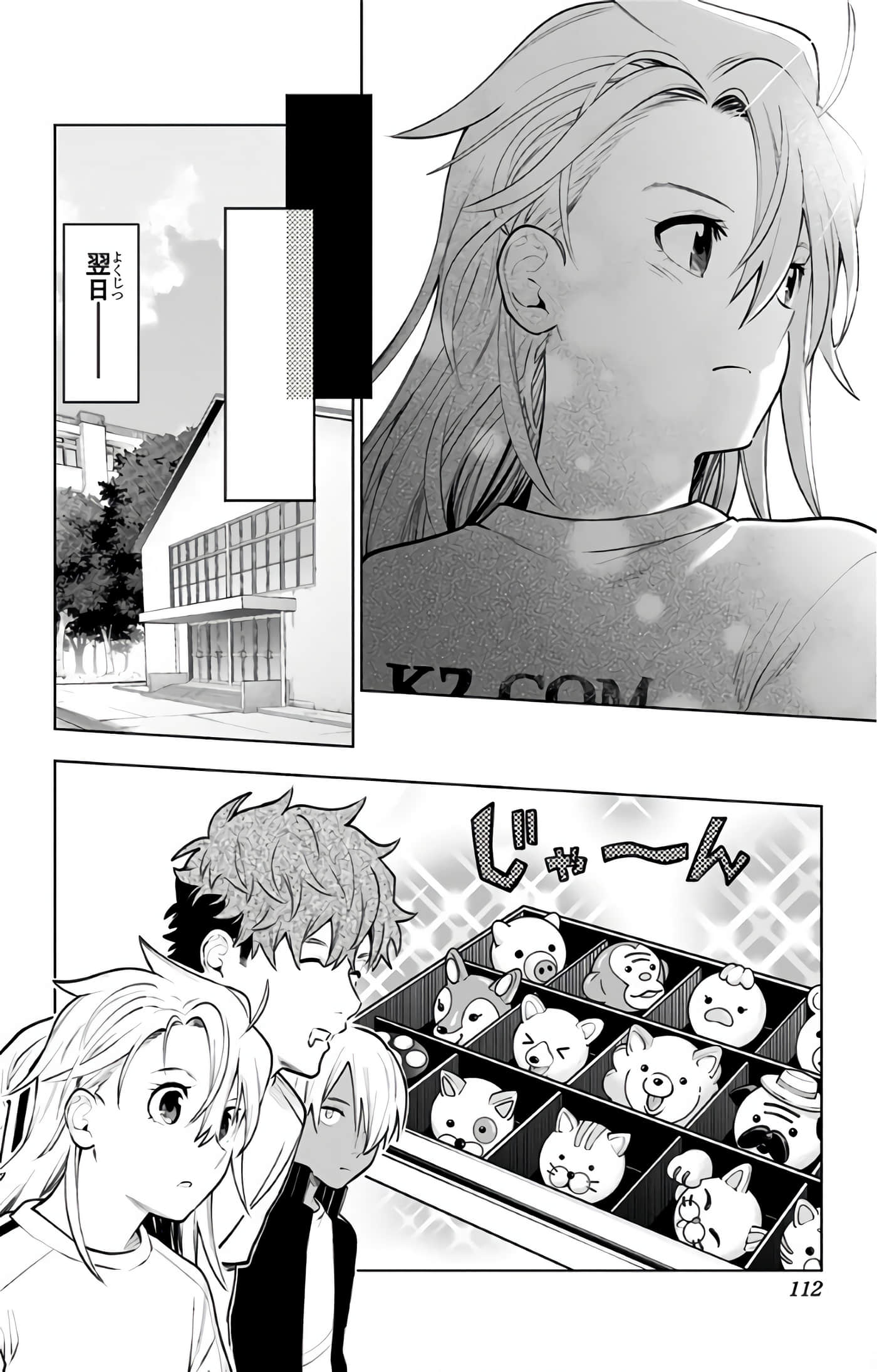 Page 113