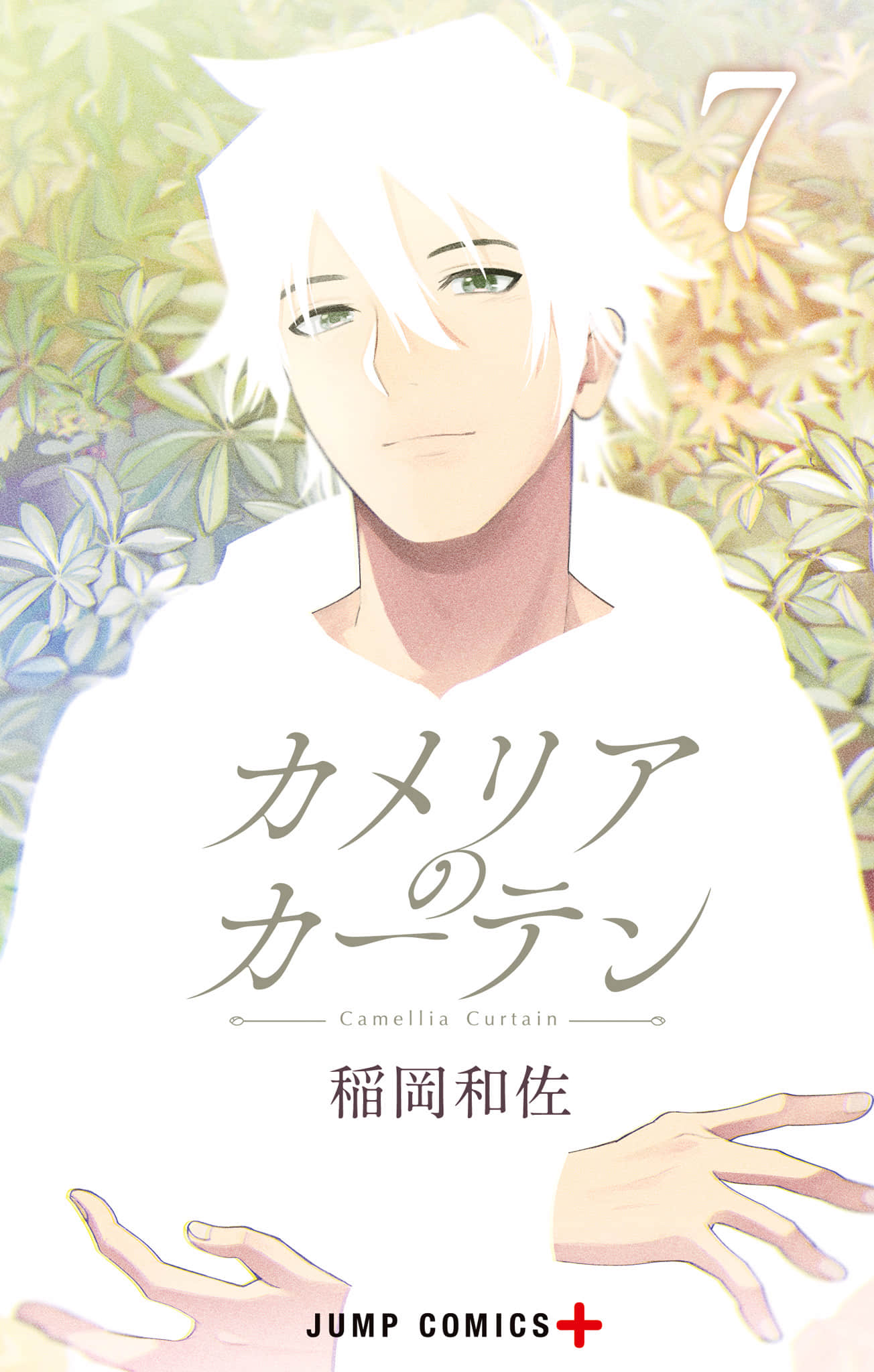 山茶帷幔【1-35话 2-35是生肉】【カメリアのカーテン】【已完结】