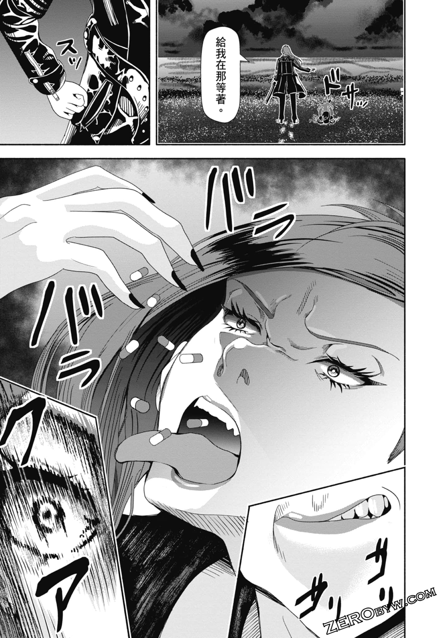 Page 101