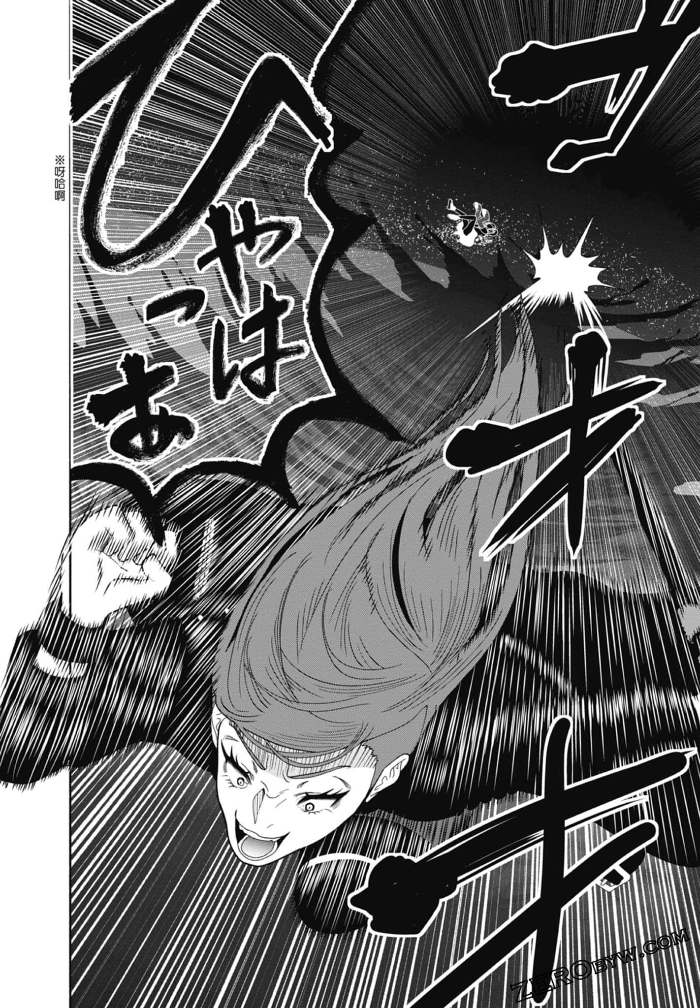 Page 102