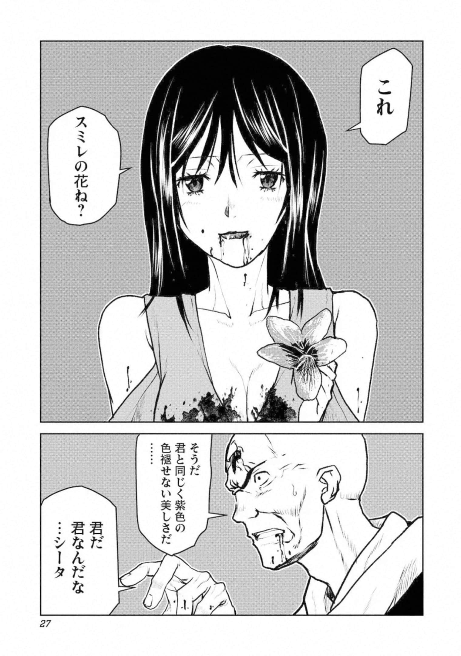 Page 27