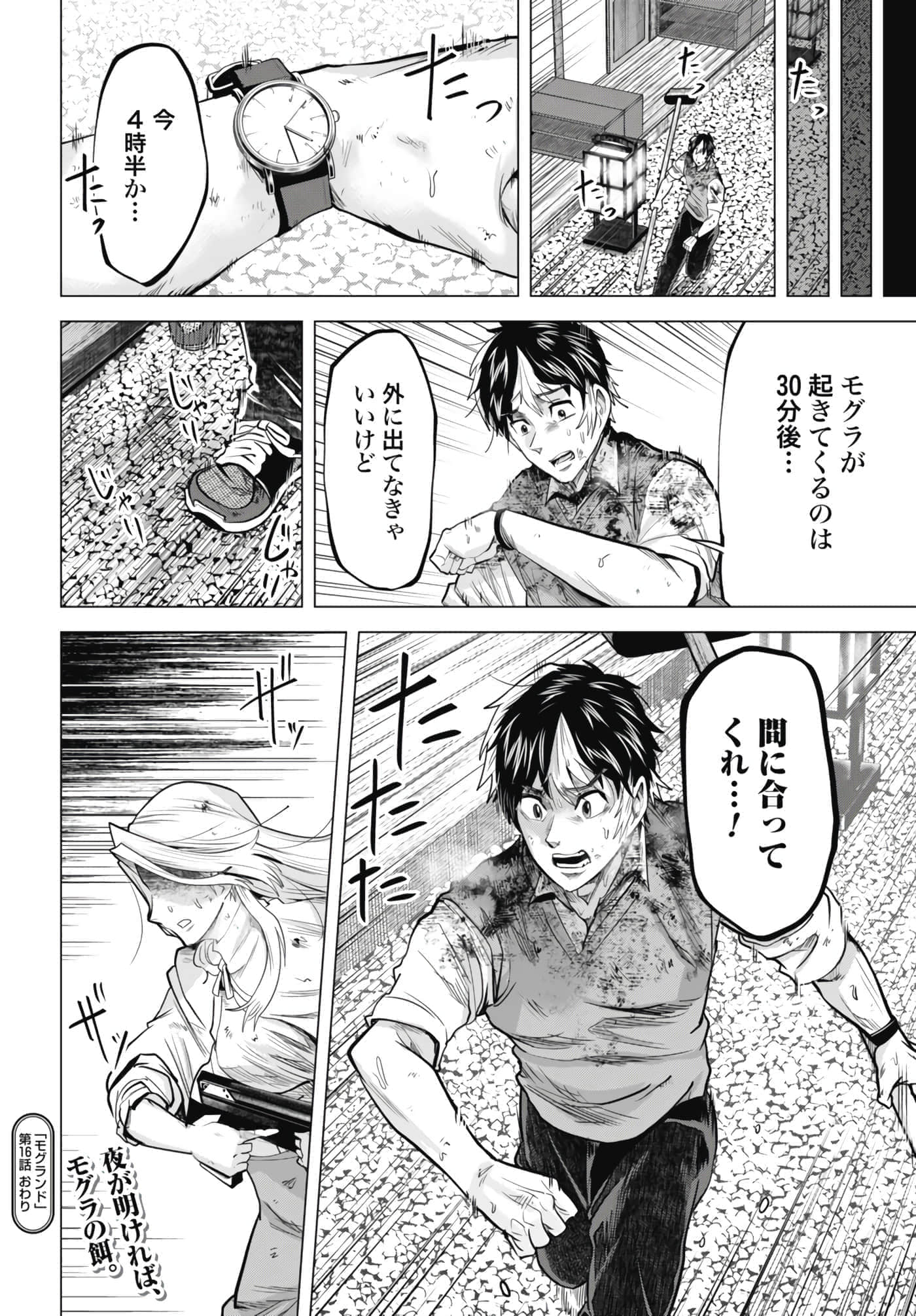 第 16 页