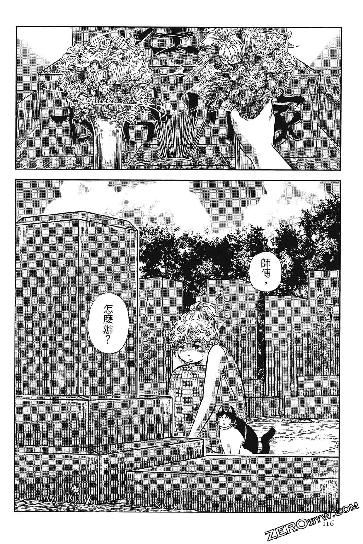 Page 113