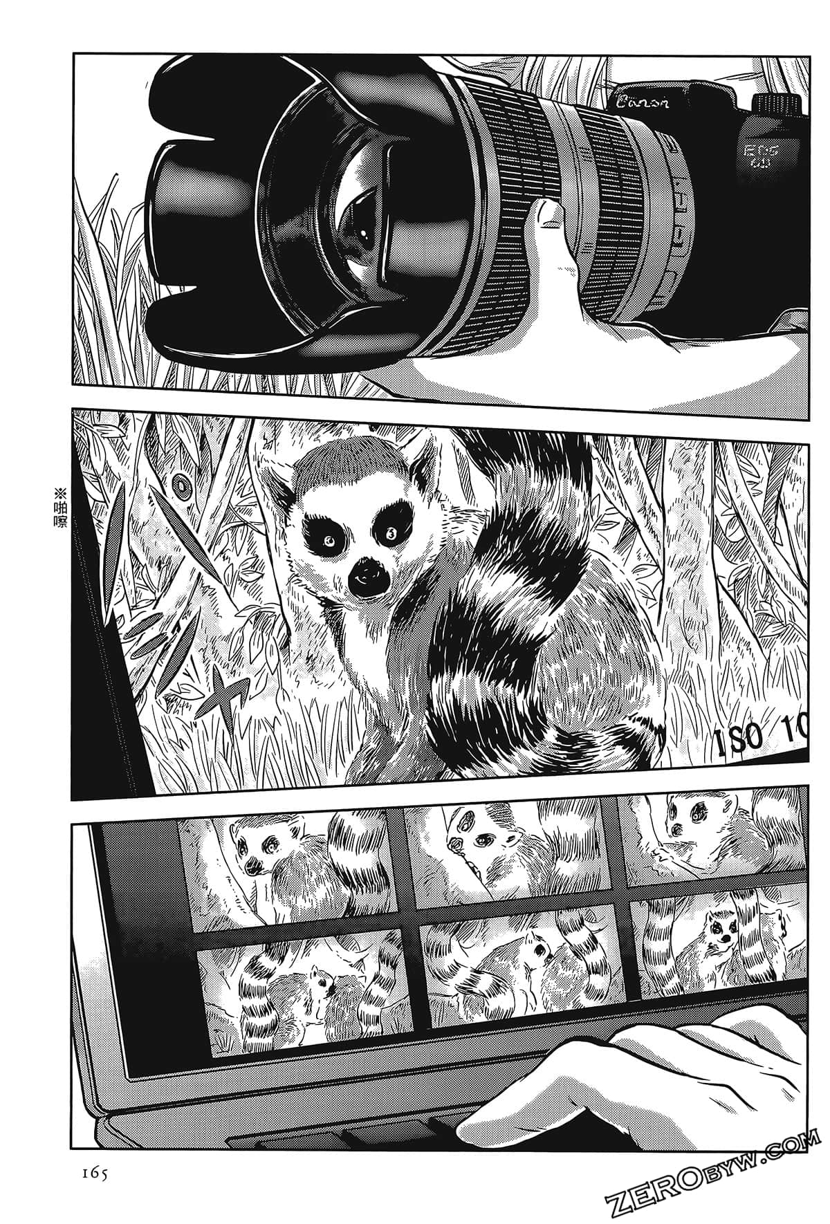 Page 161