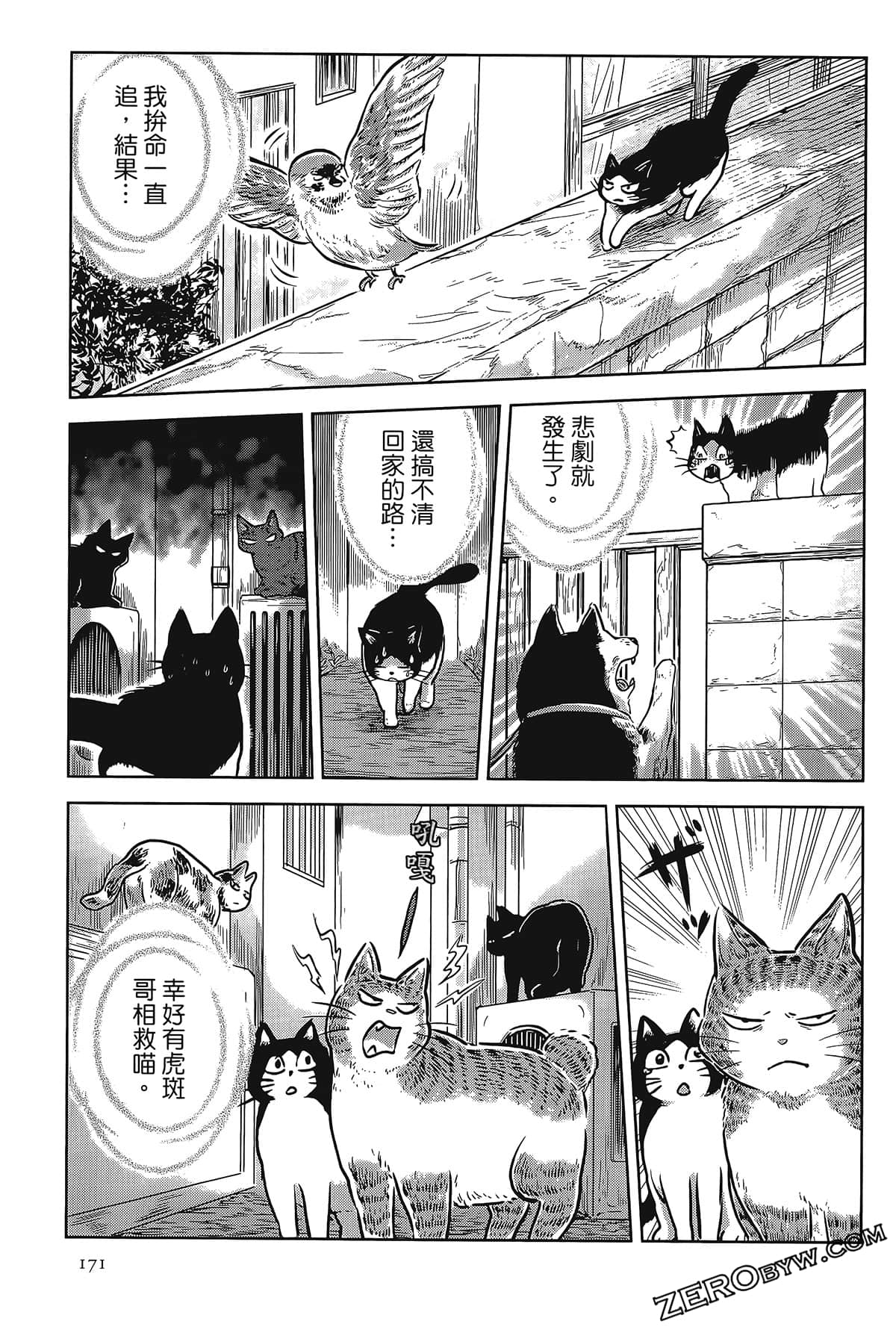 Page 166