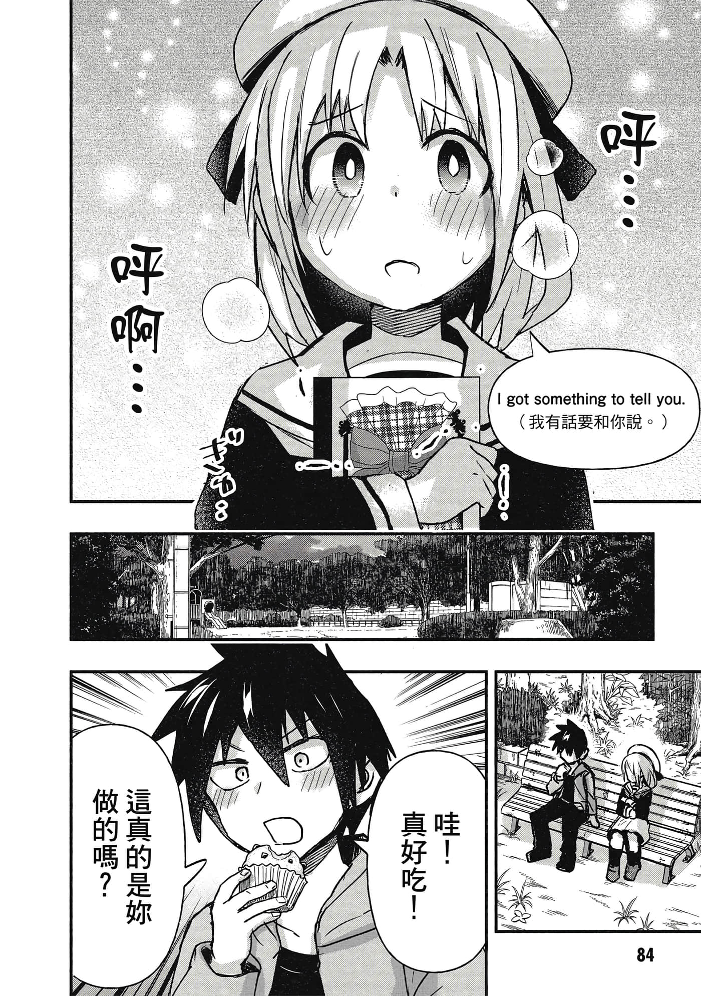 第 85 页