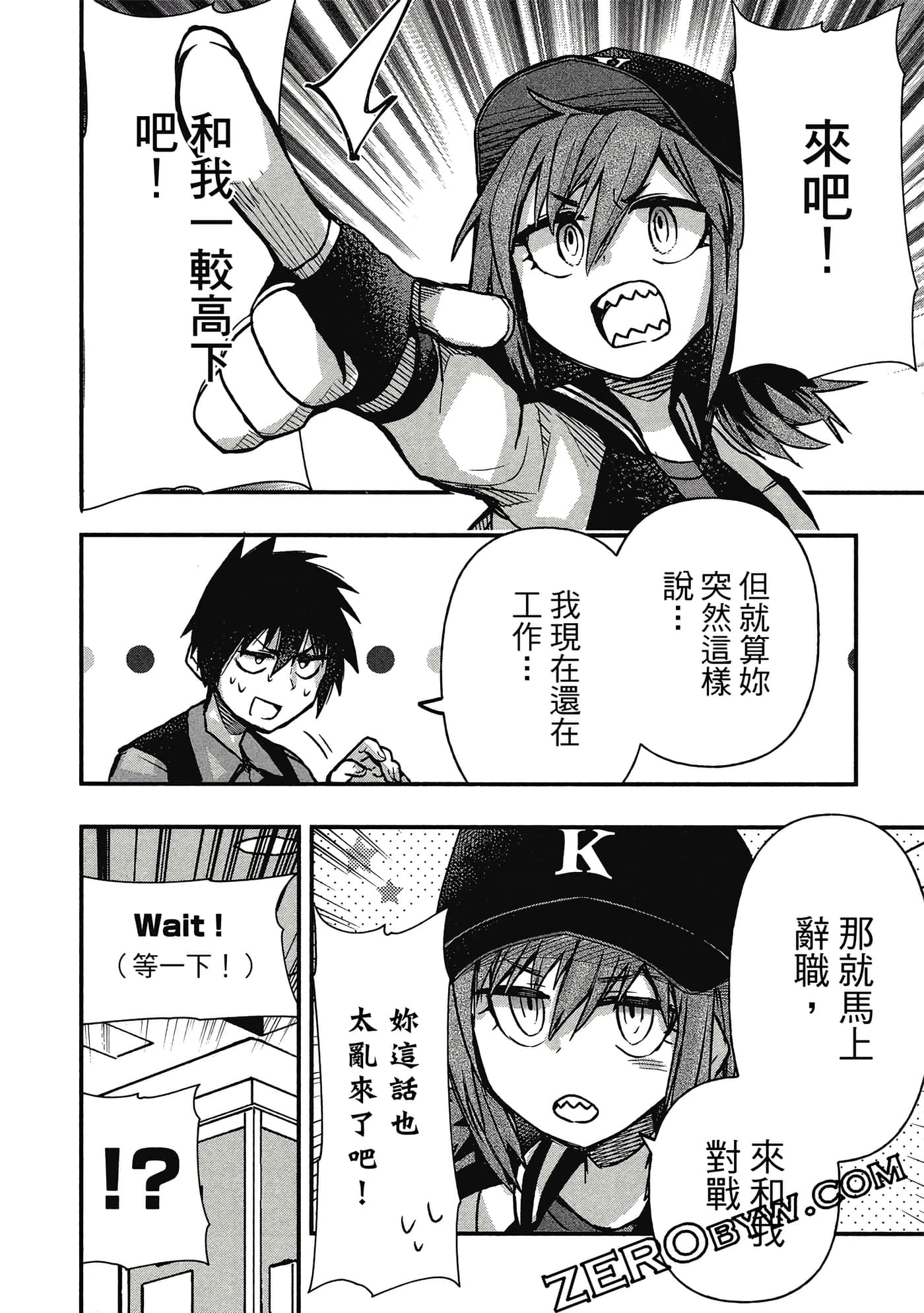 第 91 页