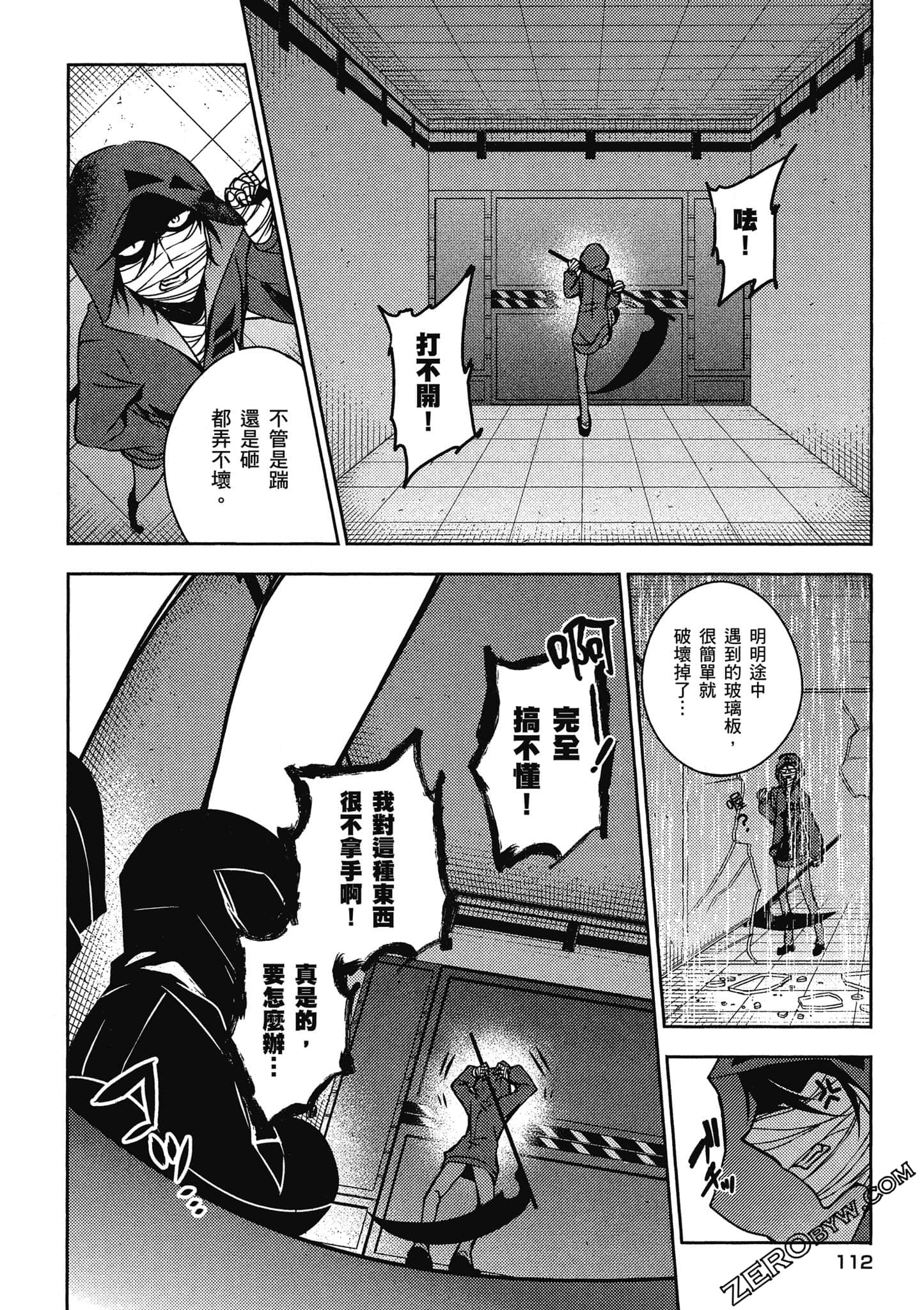 Page 113