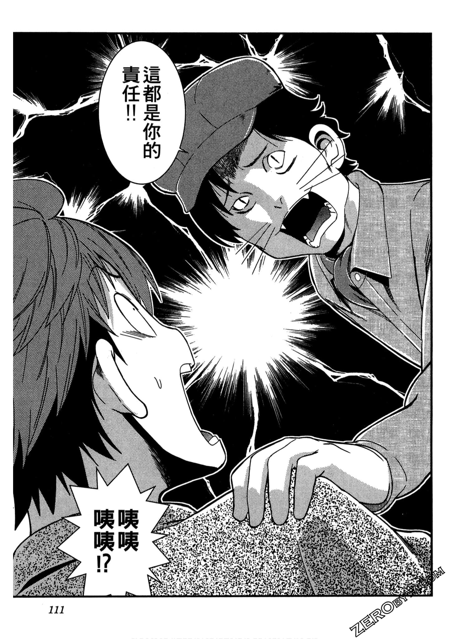 Page 112
