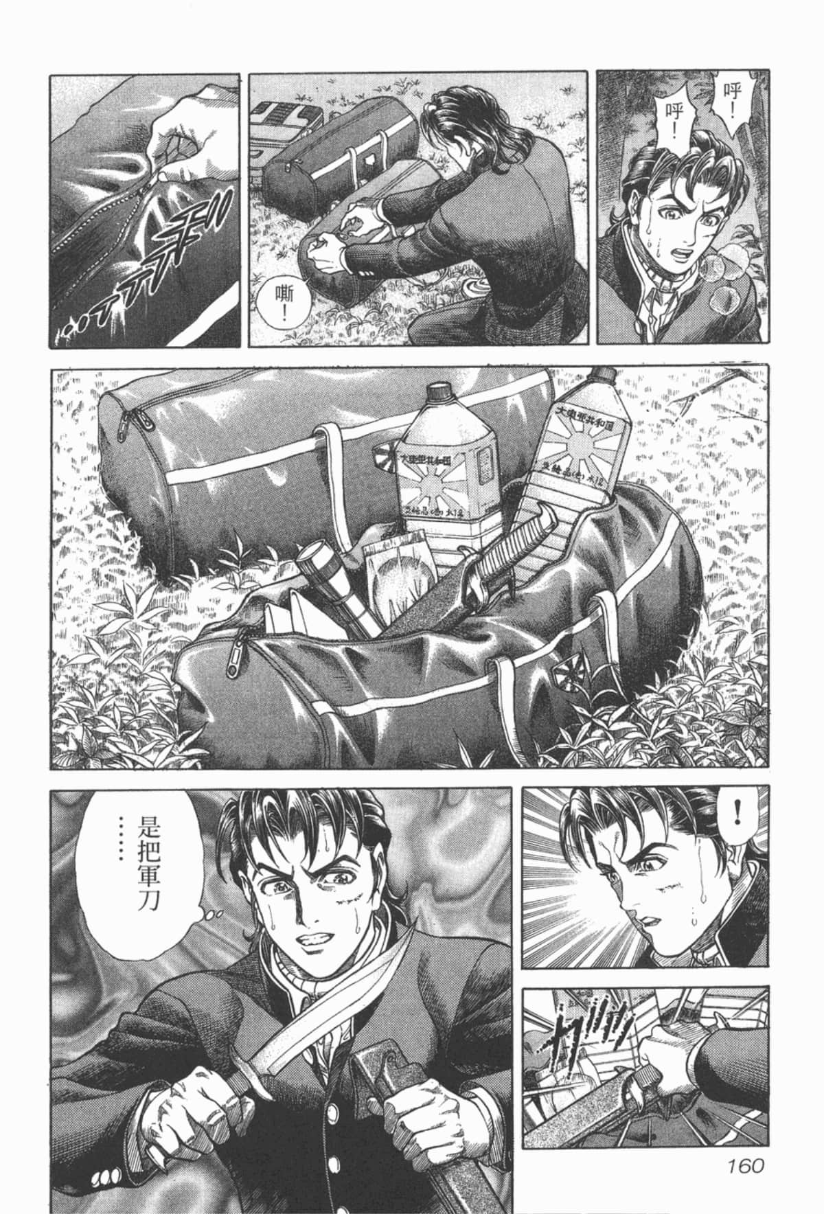 Page 161