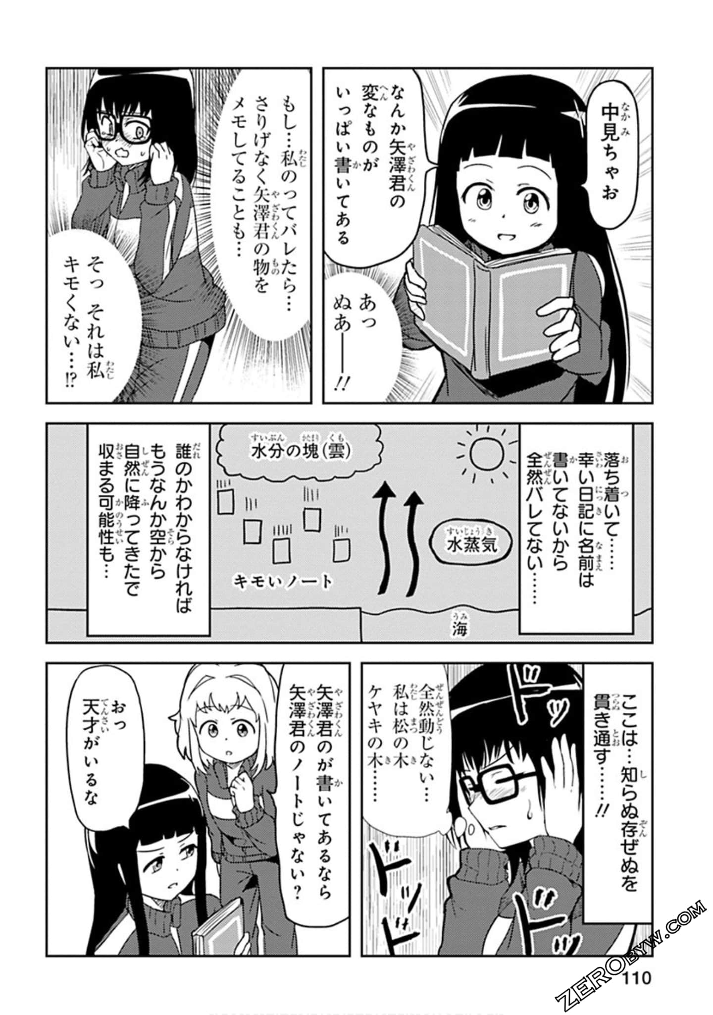 Page 111