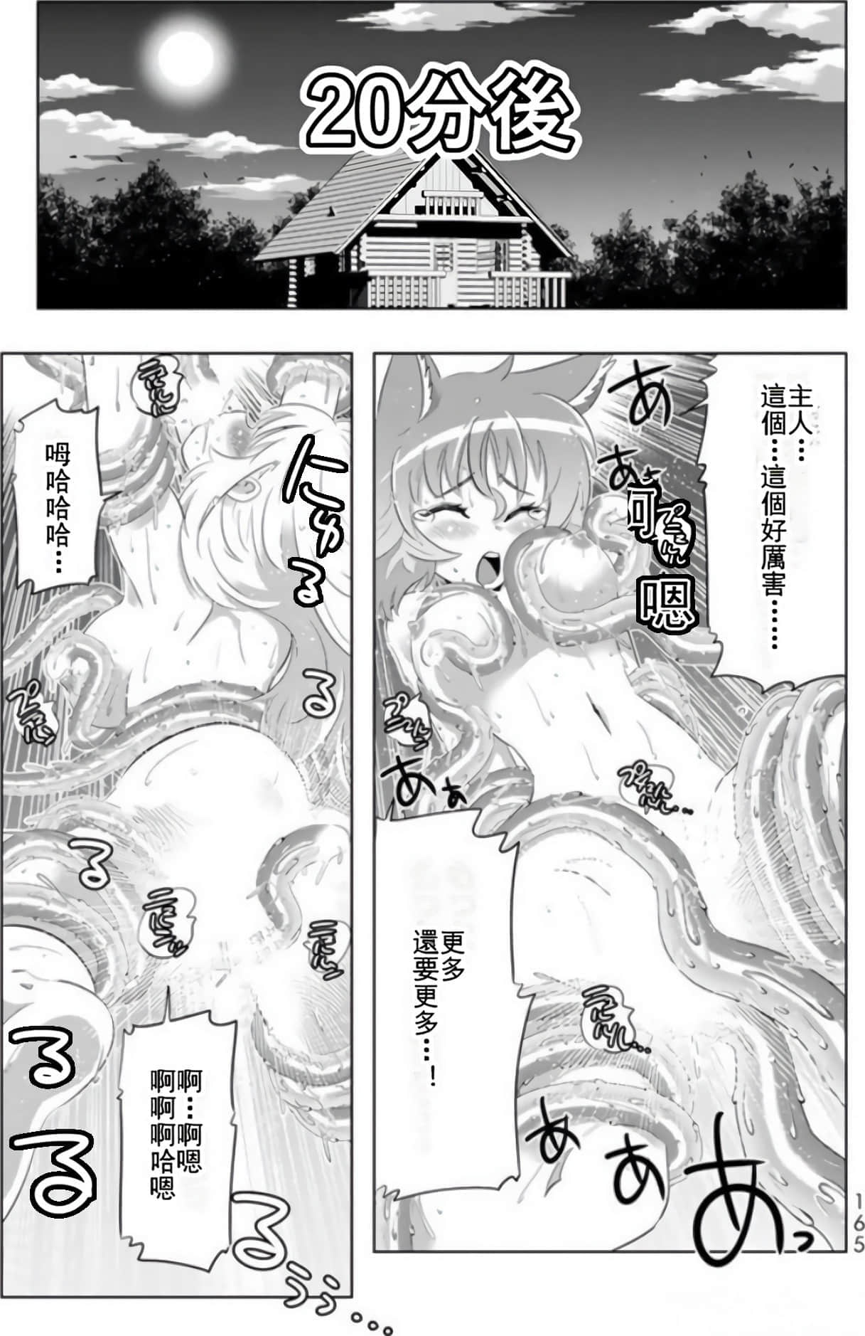第 161 页