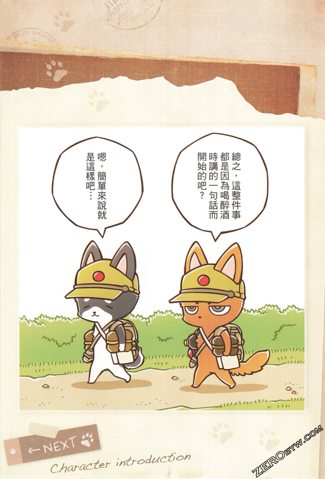 Page 12