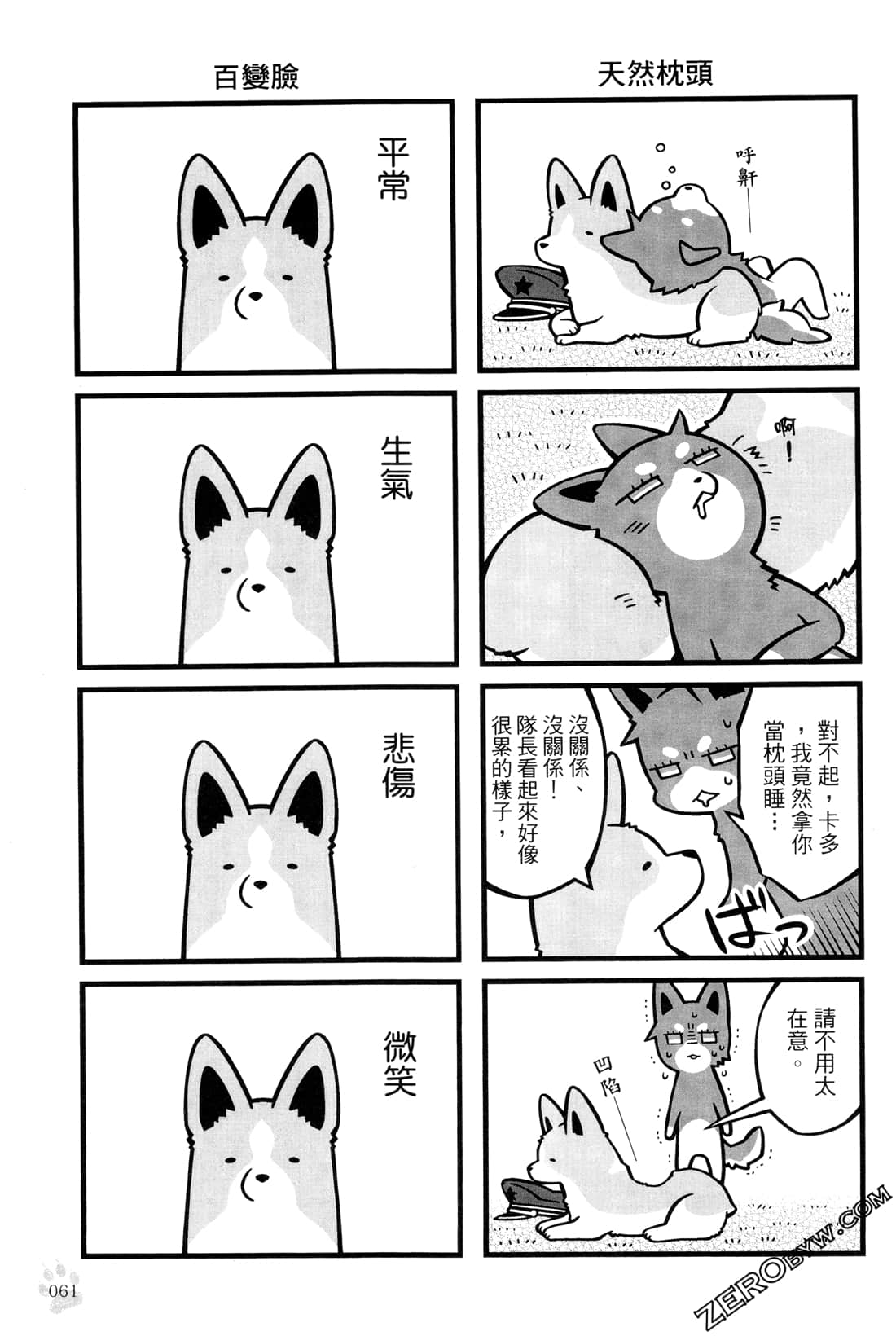 Page 63