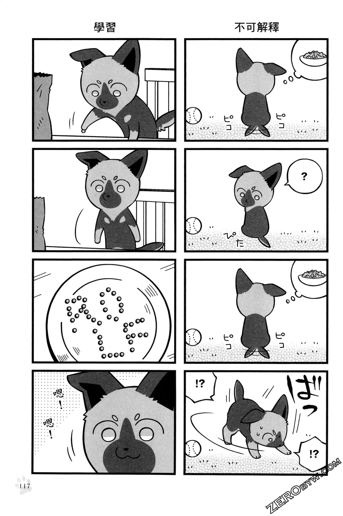 Page 119