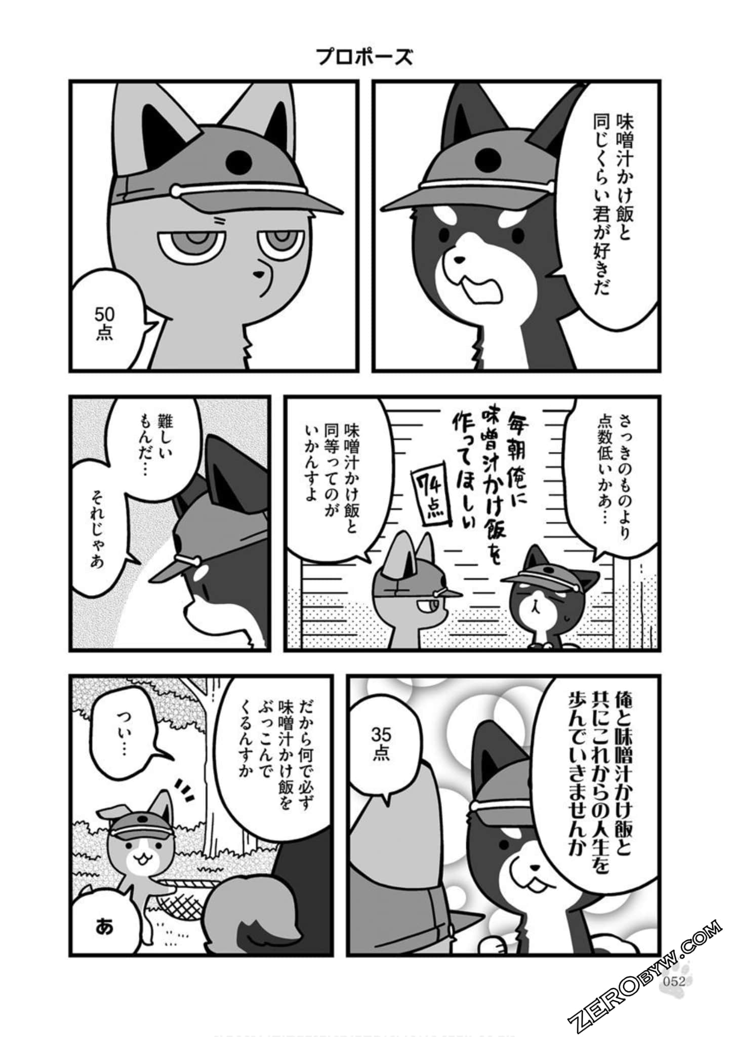 Page 51