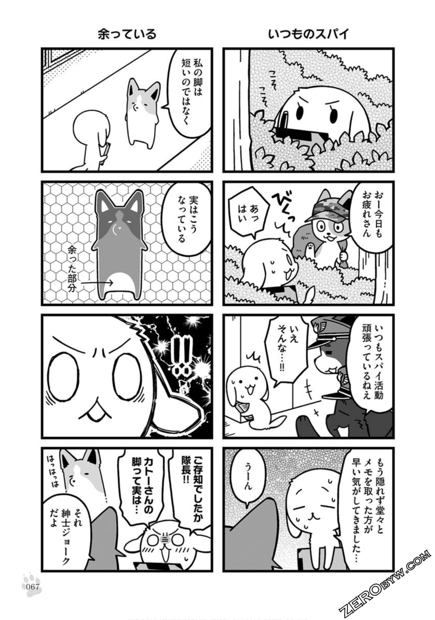 Page 66