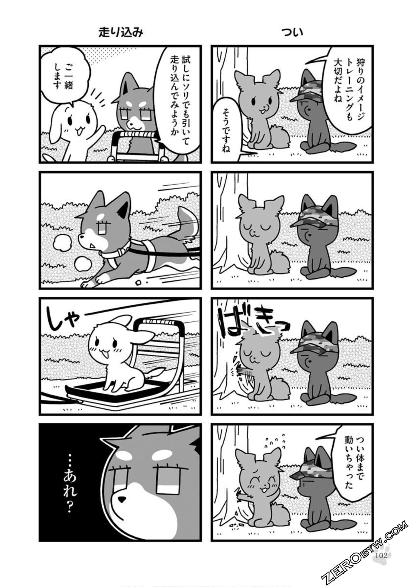 Page 101