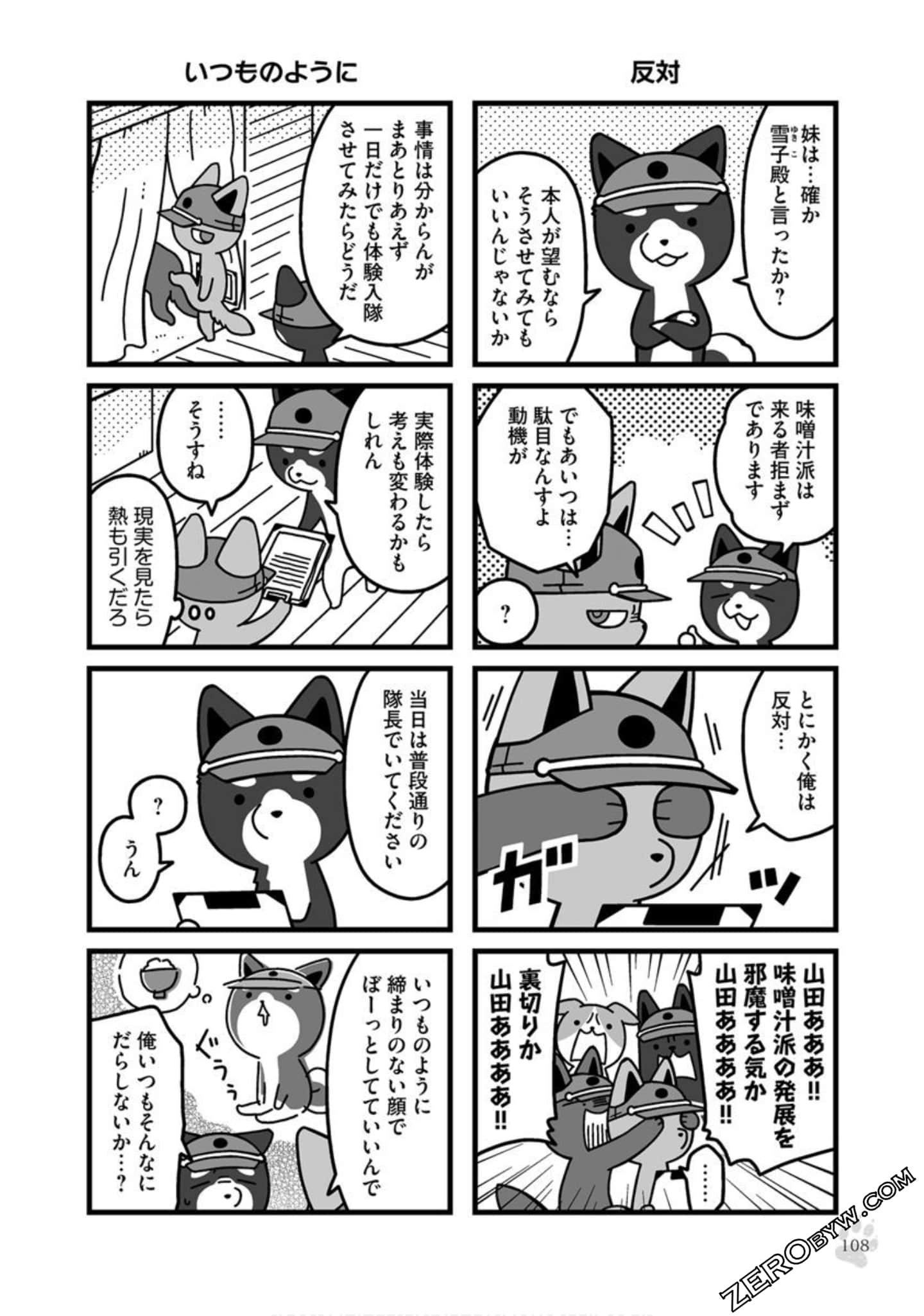 Page 107