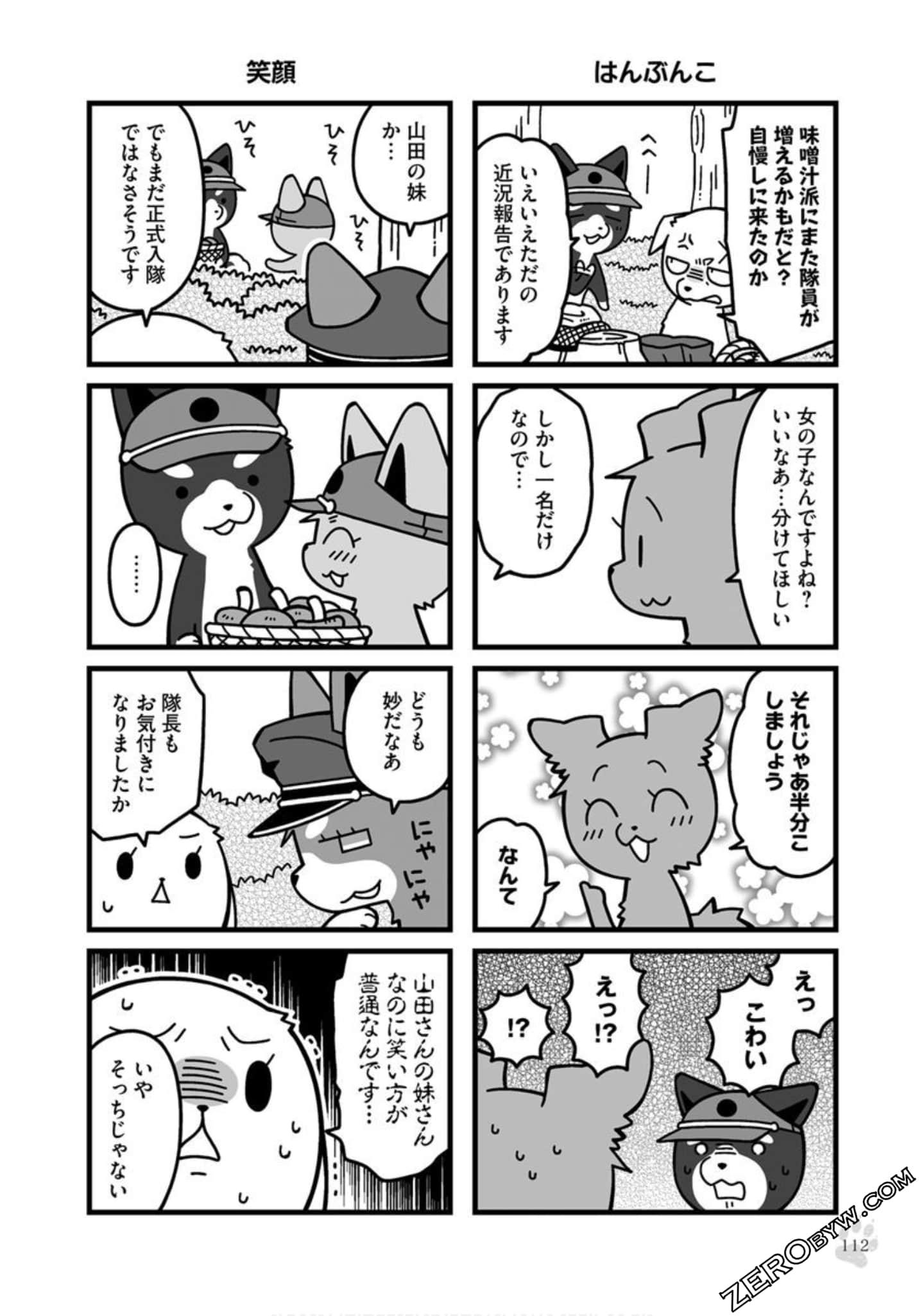 Page 111
