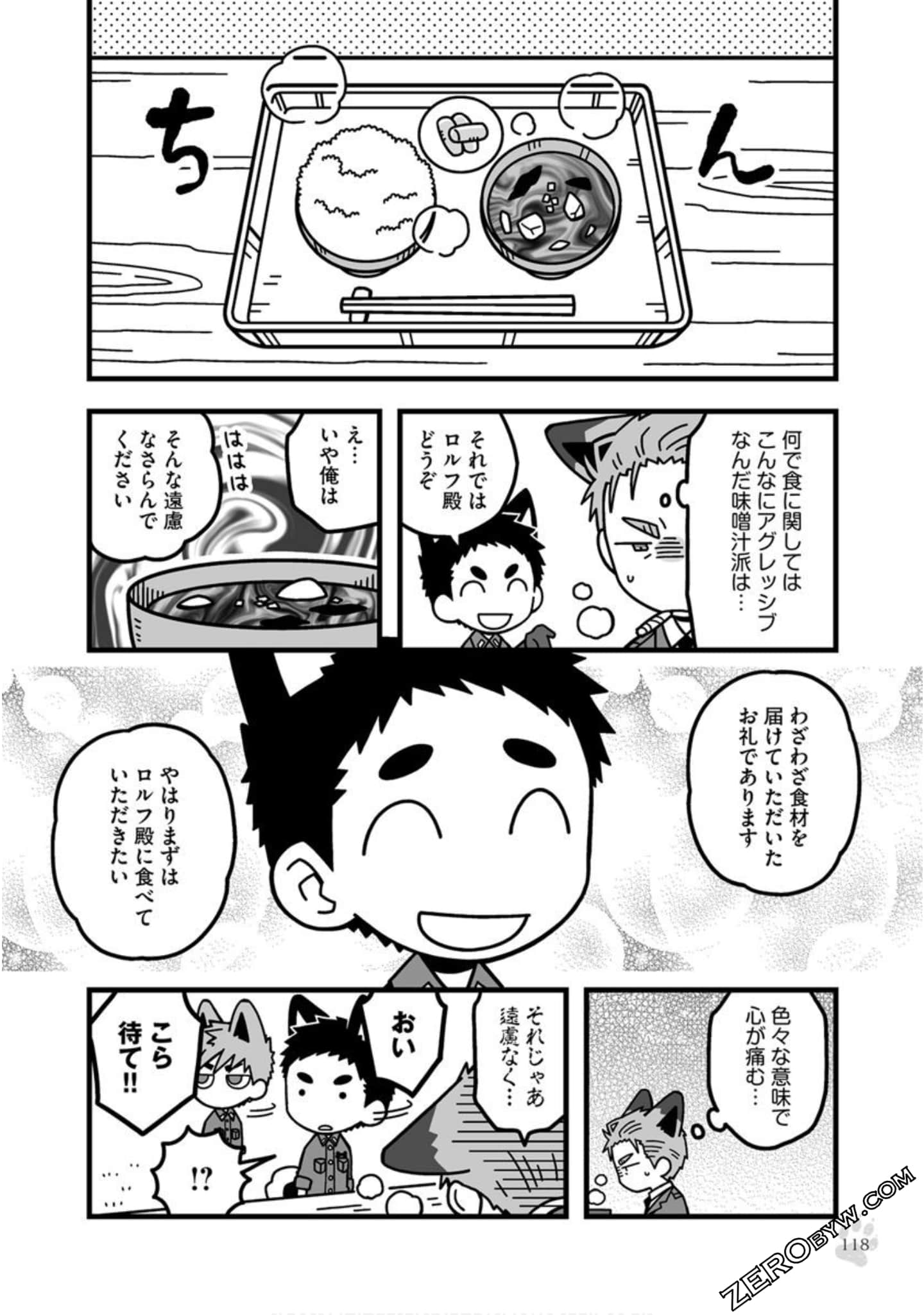 Page 117
