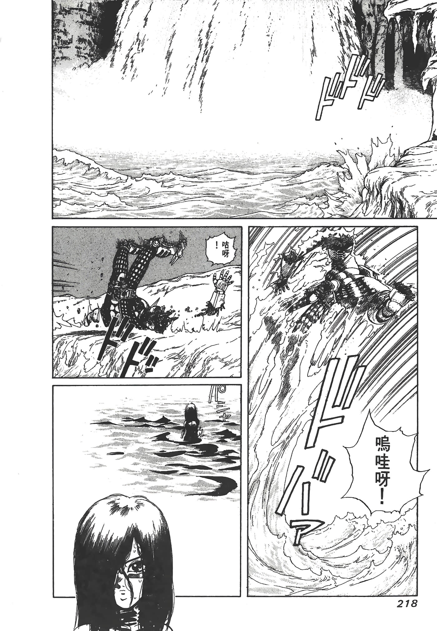 Page 219