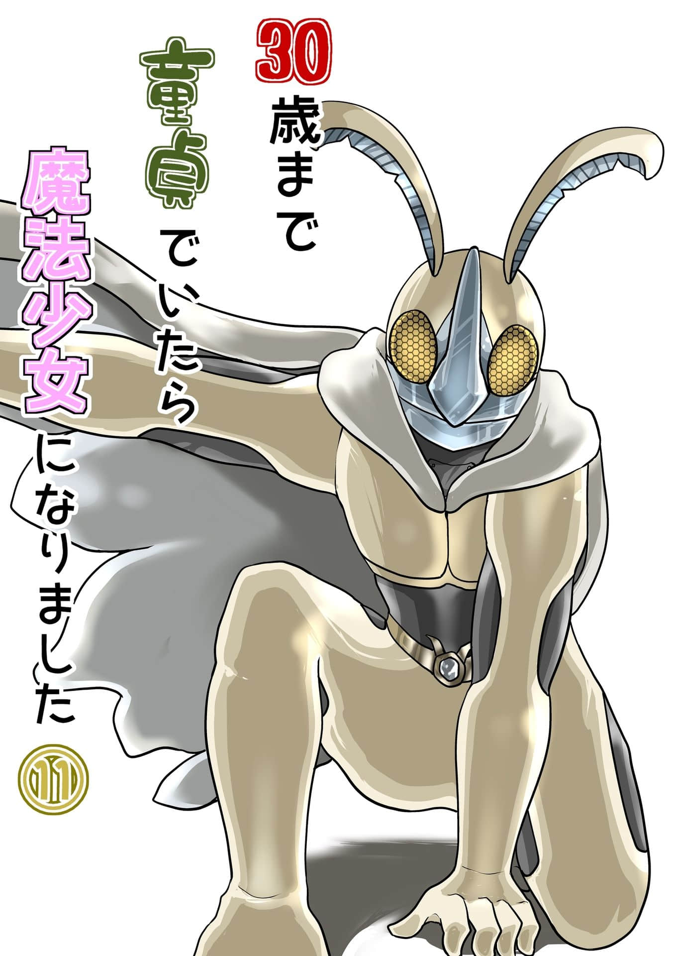 三十岁还是童贞的我成为了魔法少女【1-110话 7-110是生肉】【30歳まで童貞でいたら魔法少女になりました】