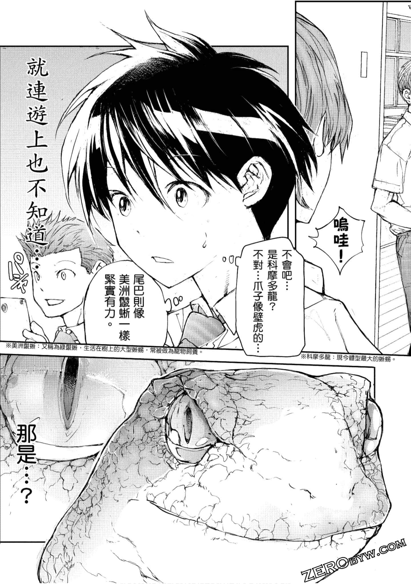Page 111