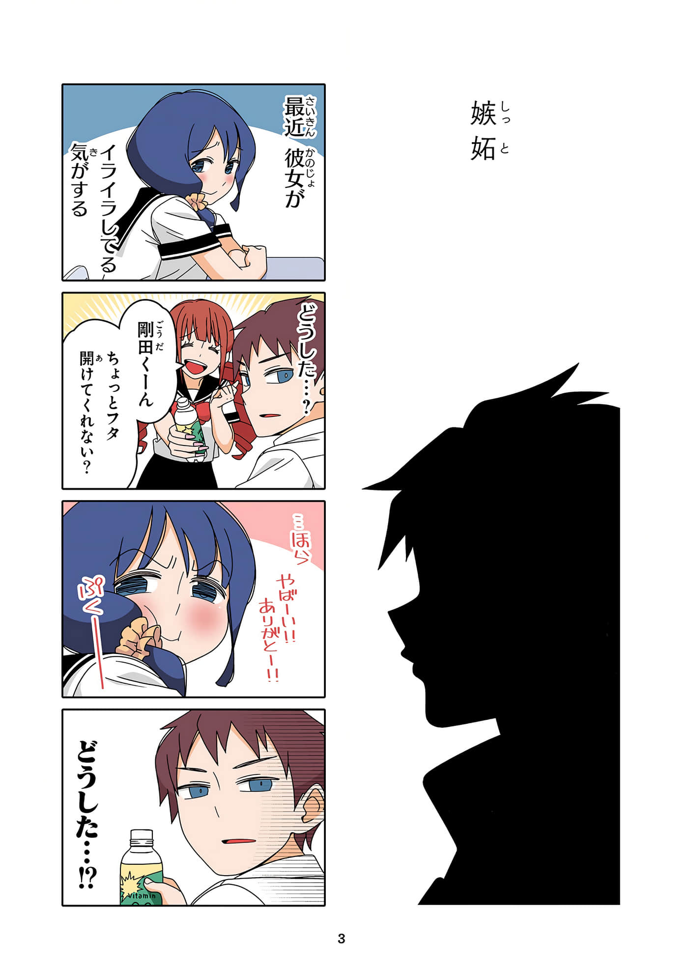 第 4 页