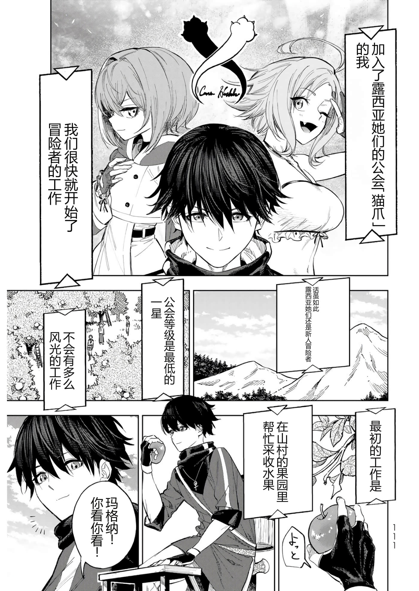 第 111 页