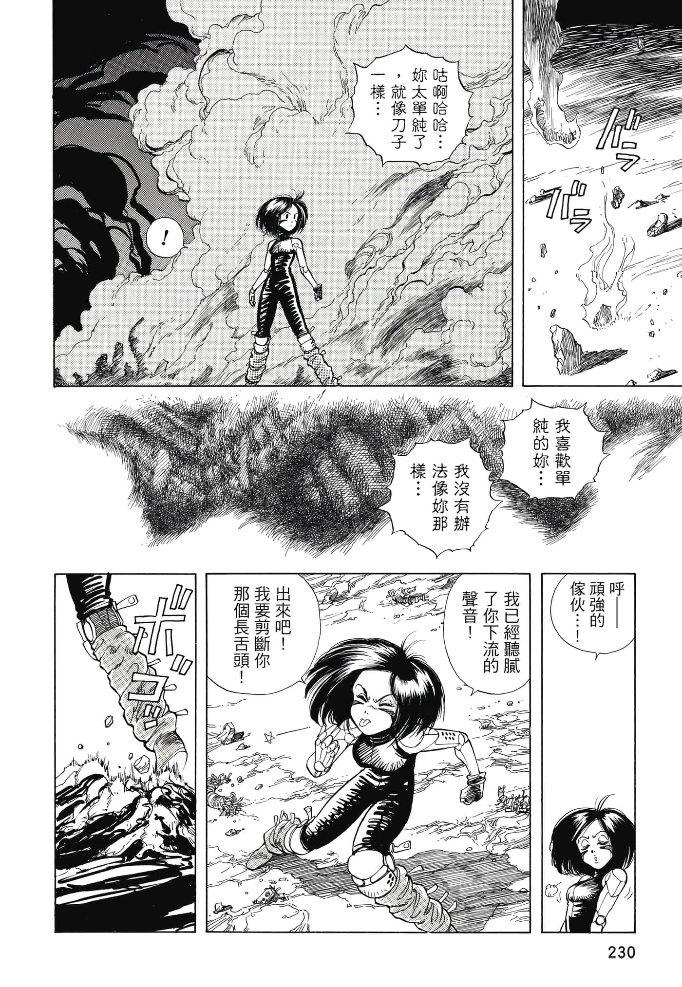 Page 231