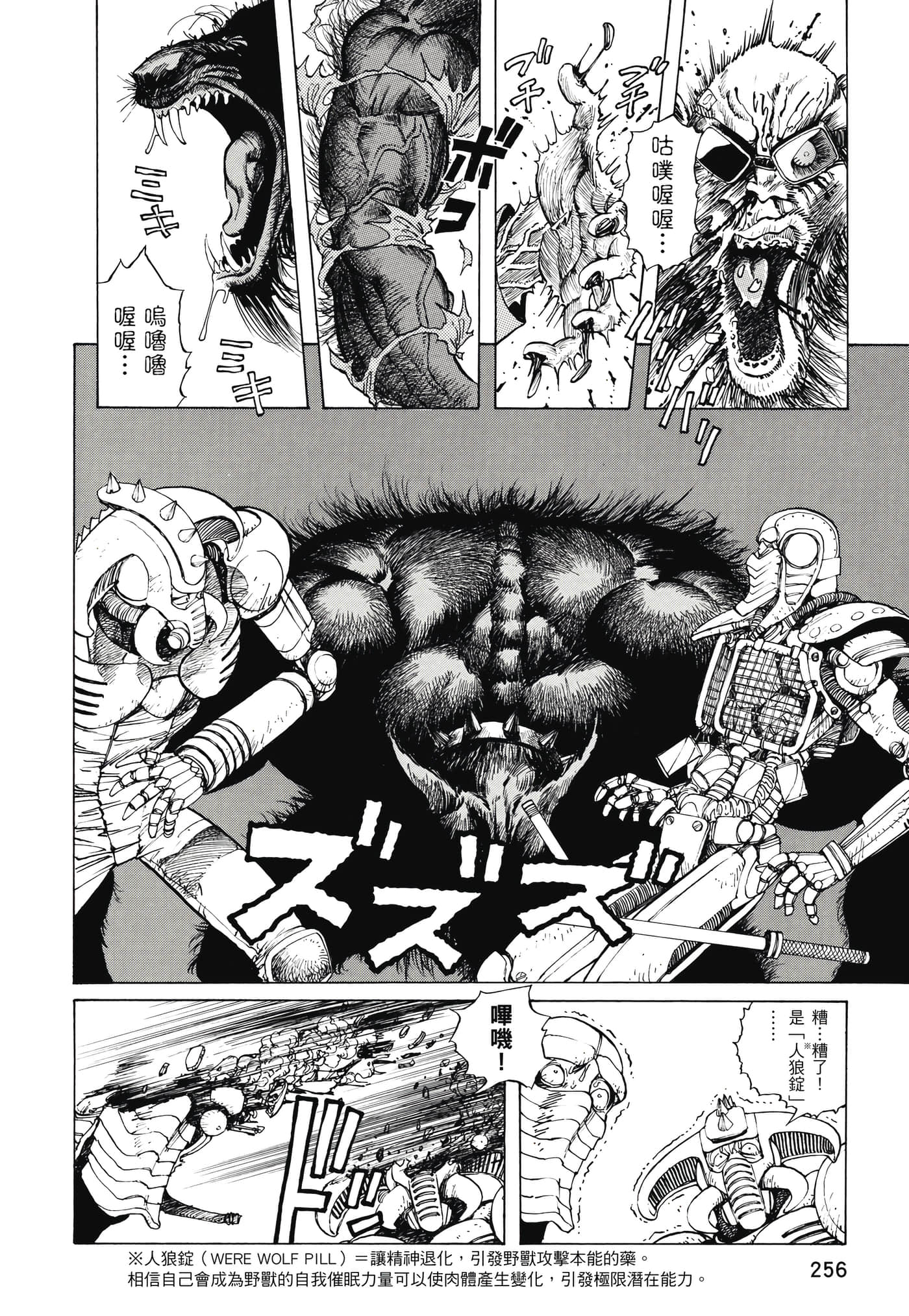 Page 257