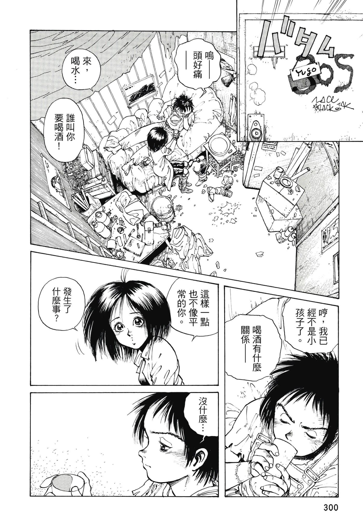 Page 301