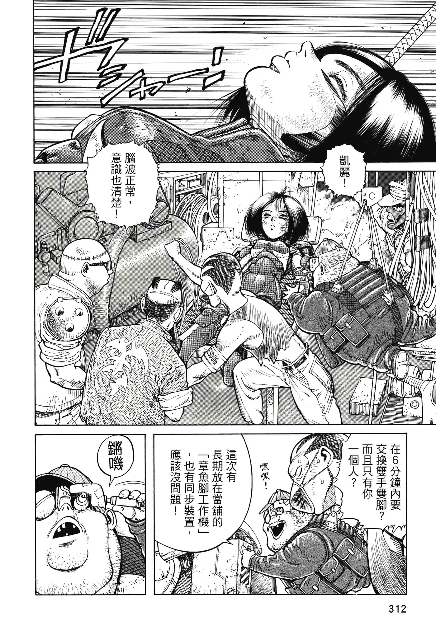 Page 313