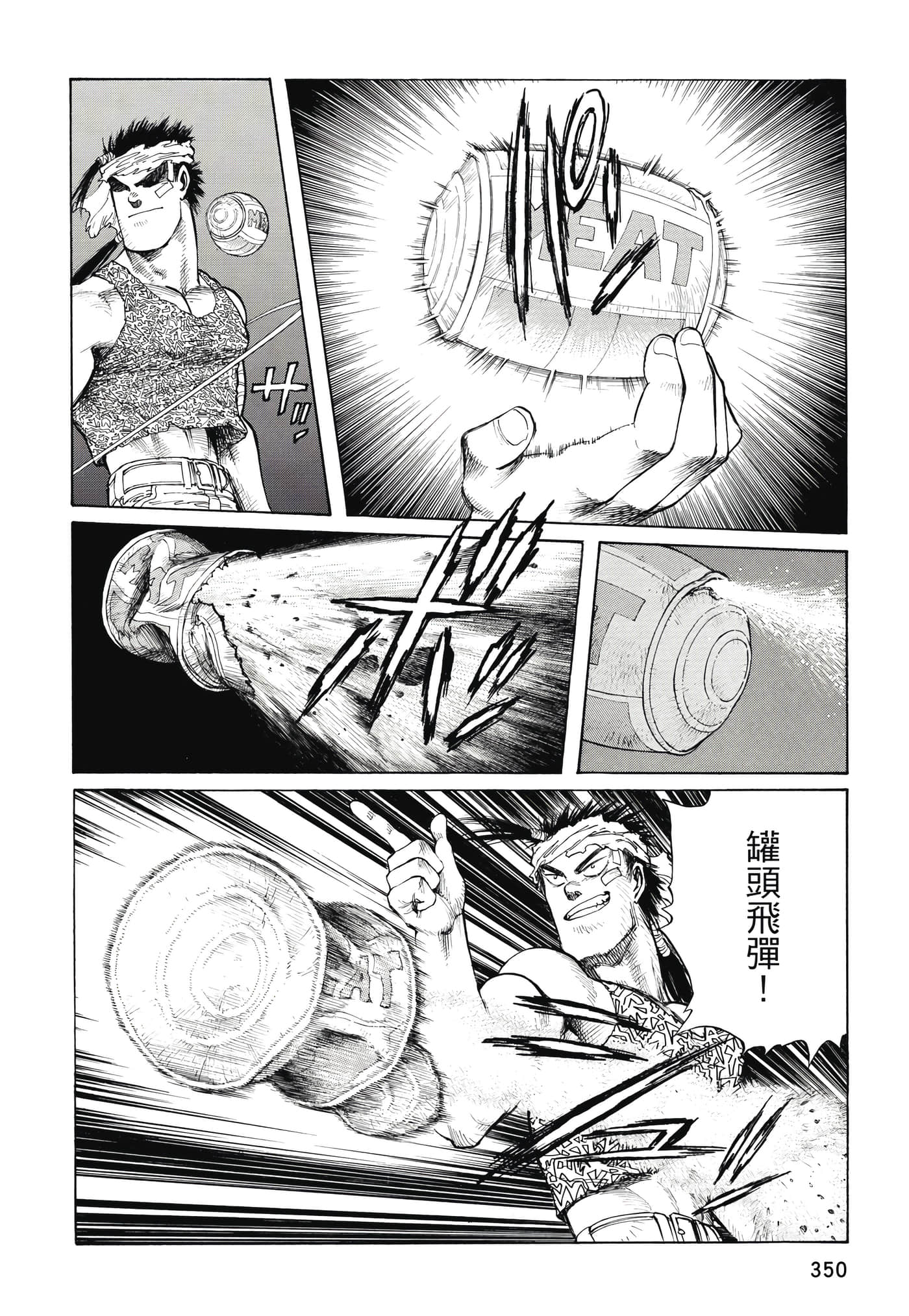 Page 351