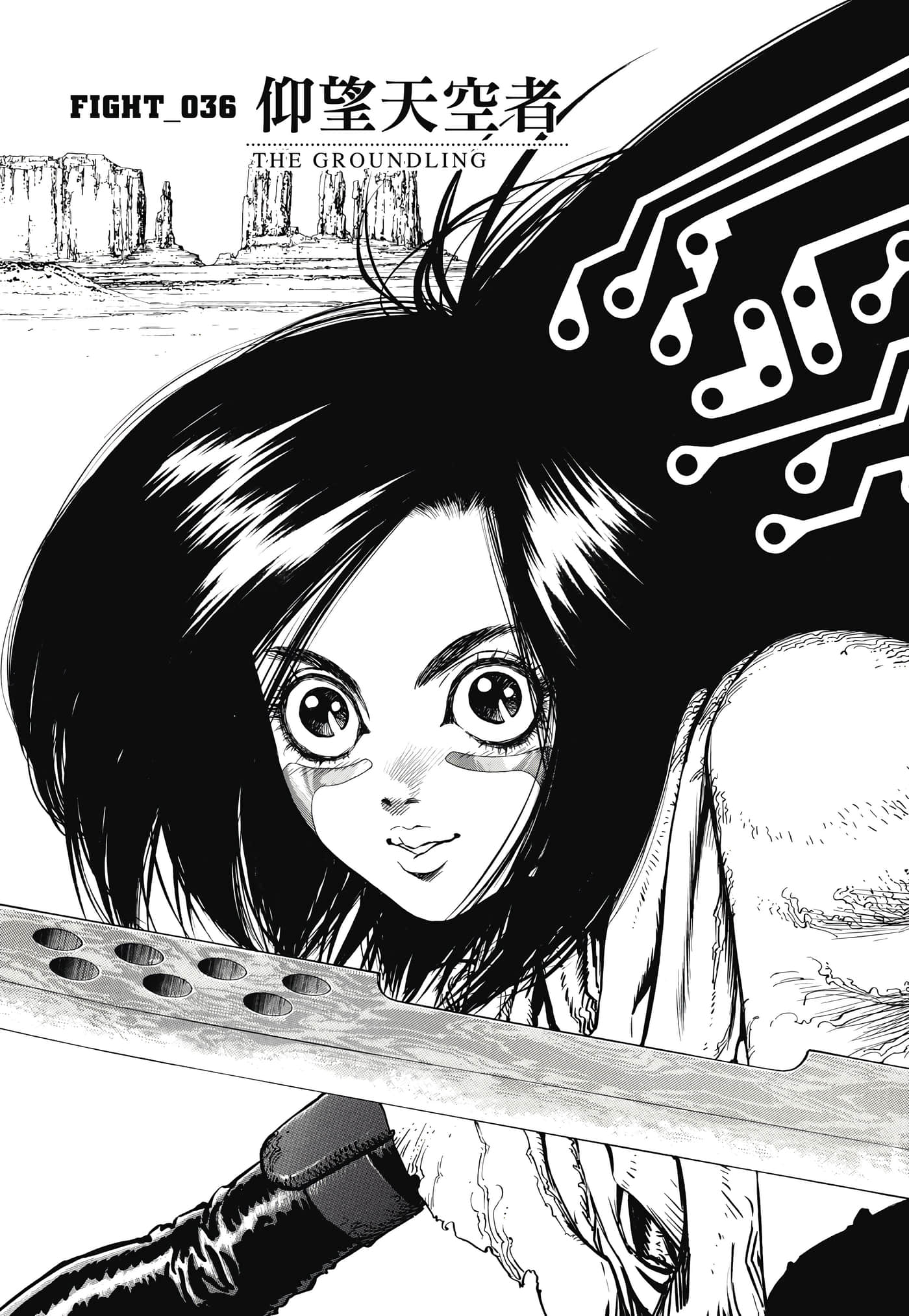 Page 102