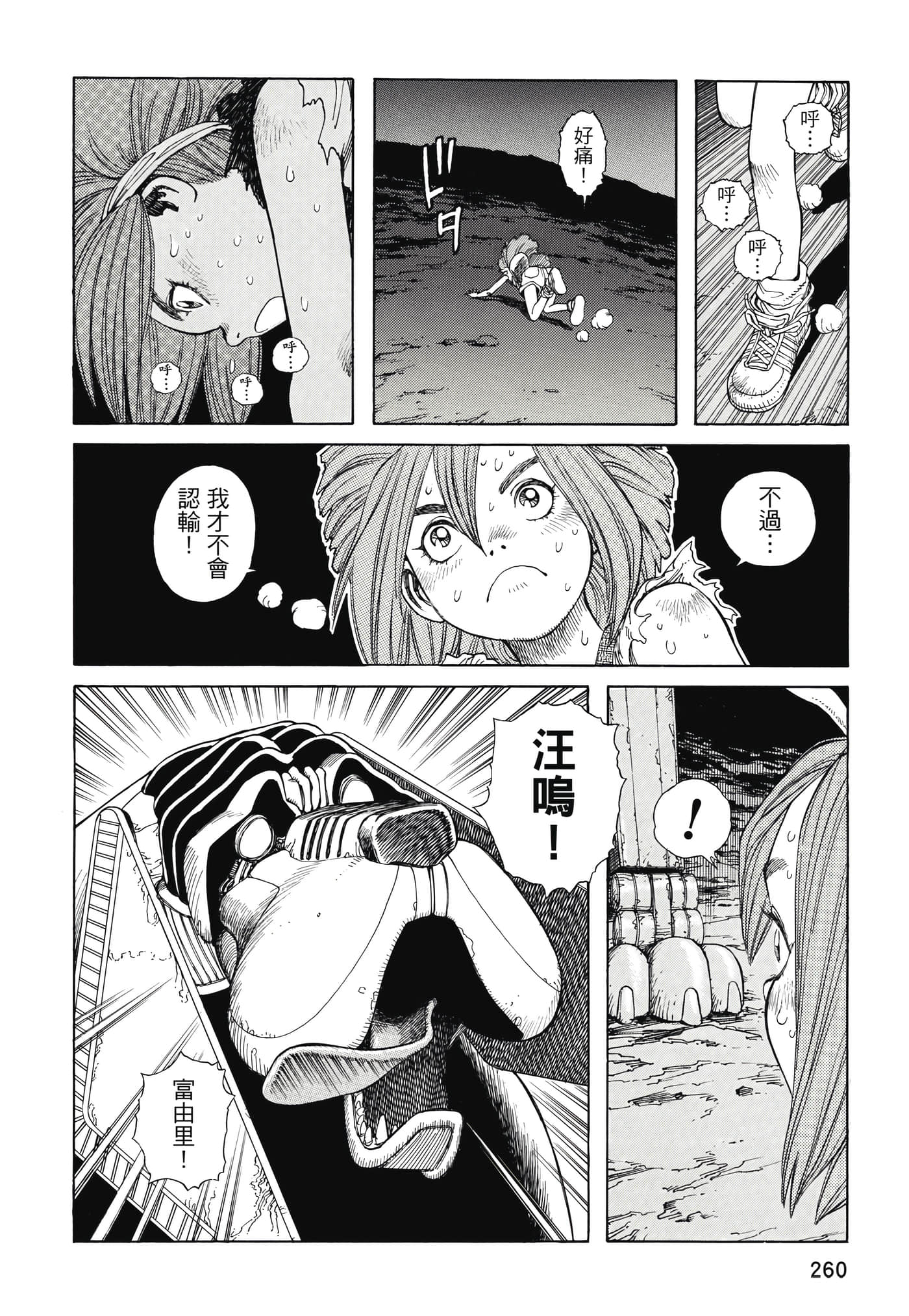 Page 261