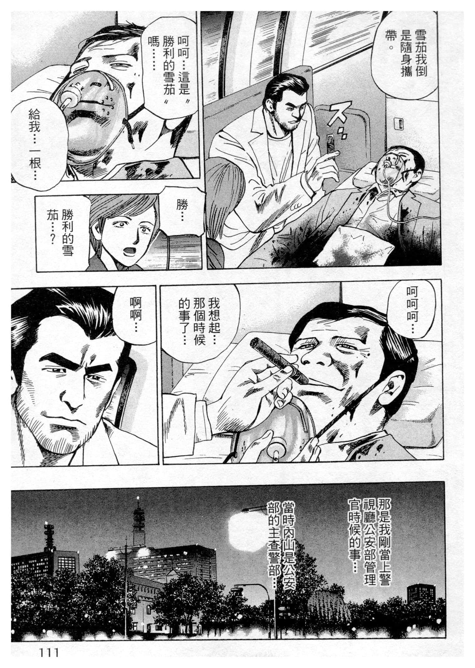 Page 111