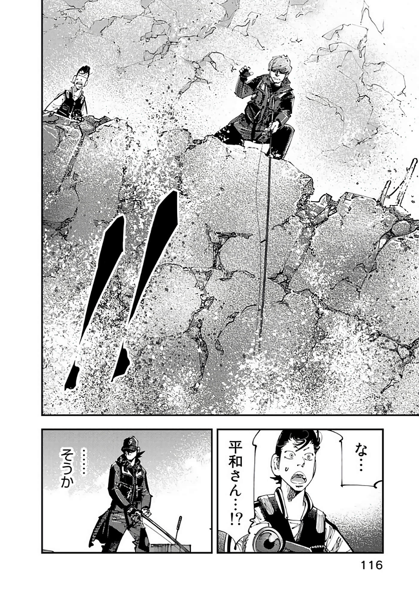 Page 117