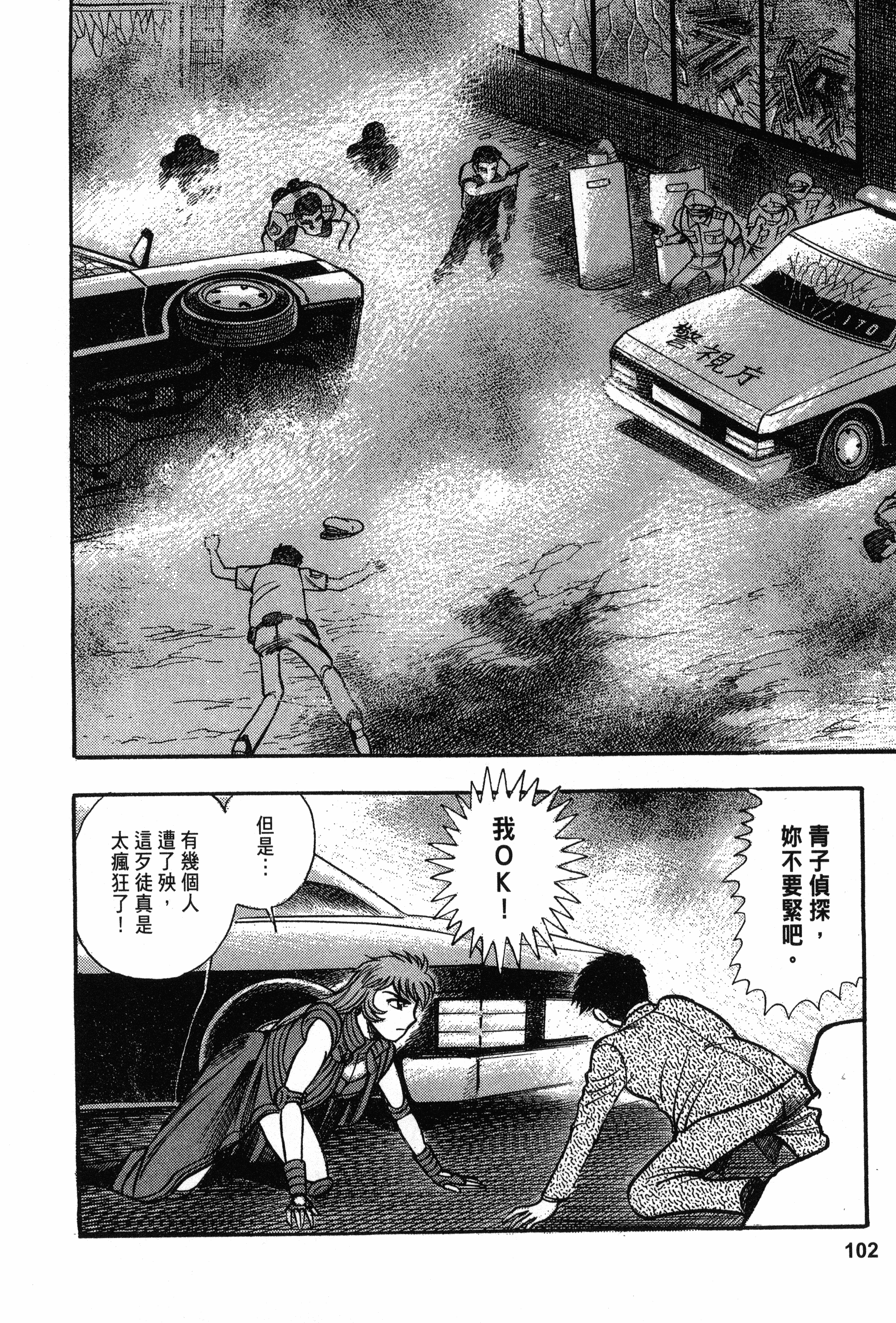 Page 102