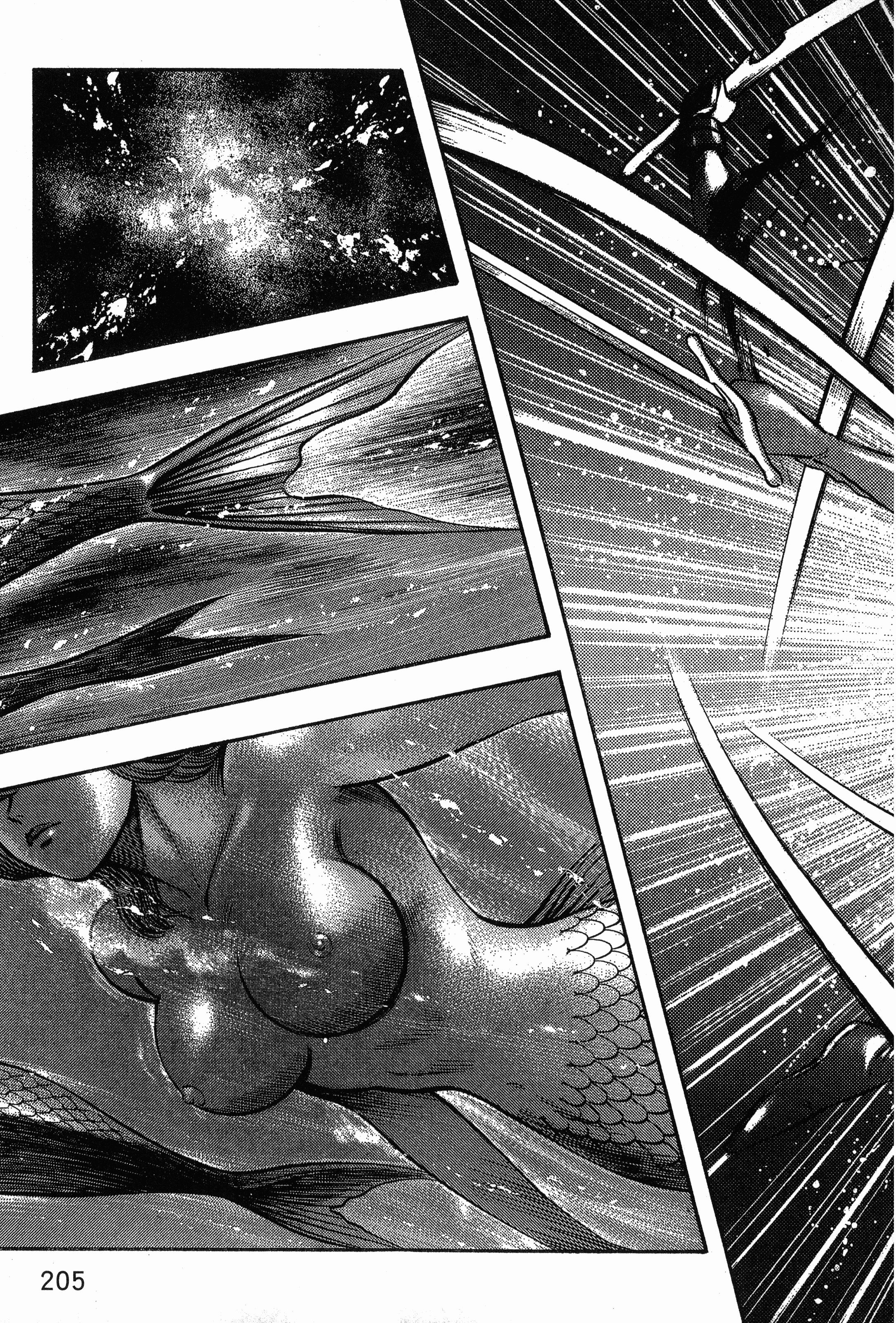 Page 207