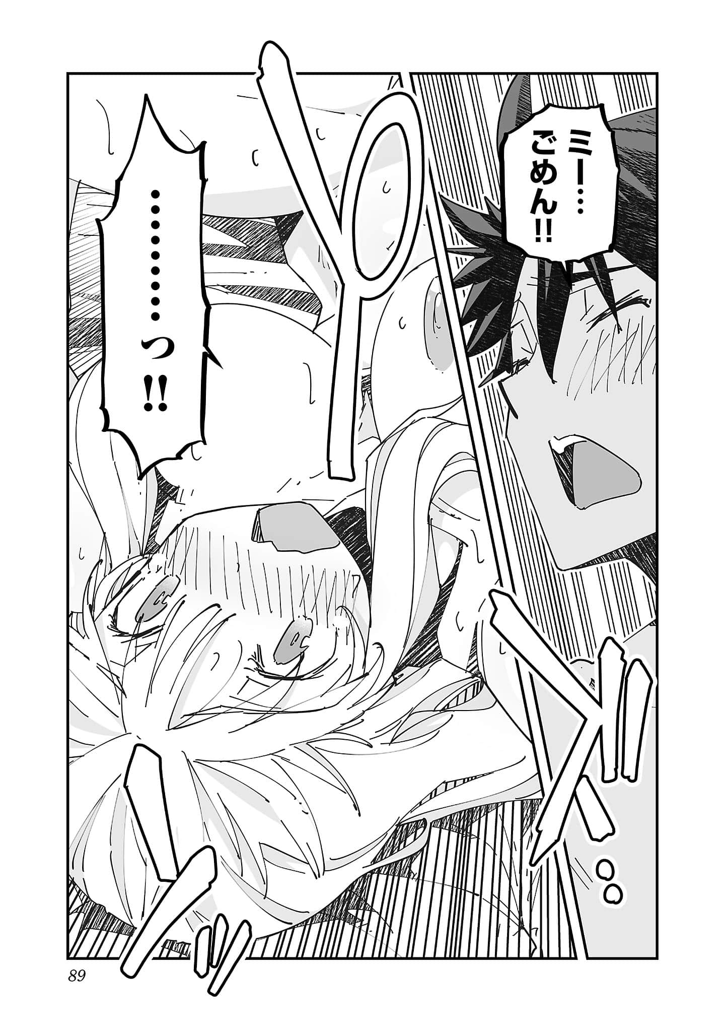 第 91 页
