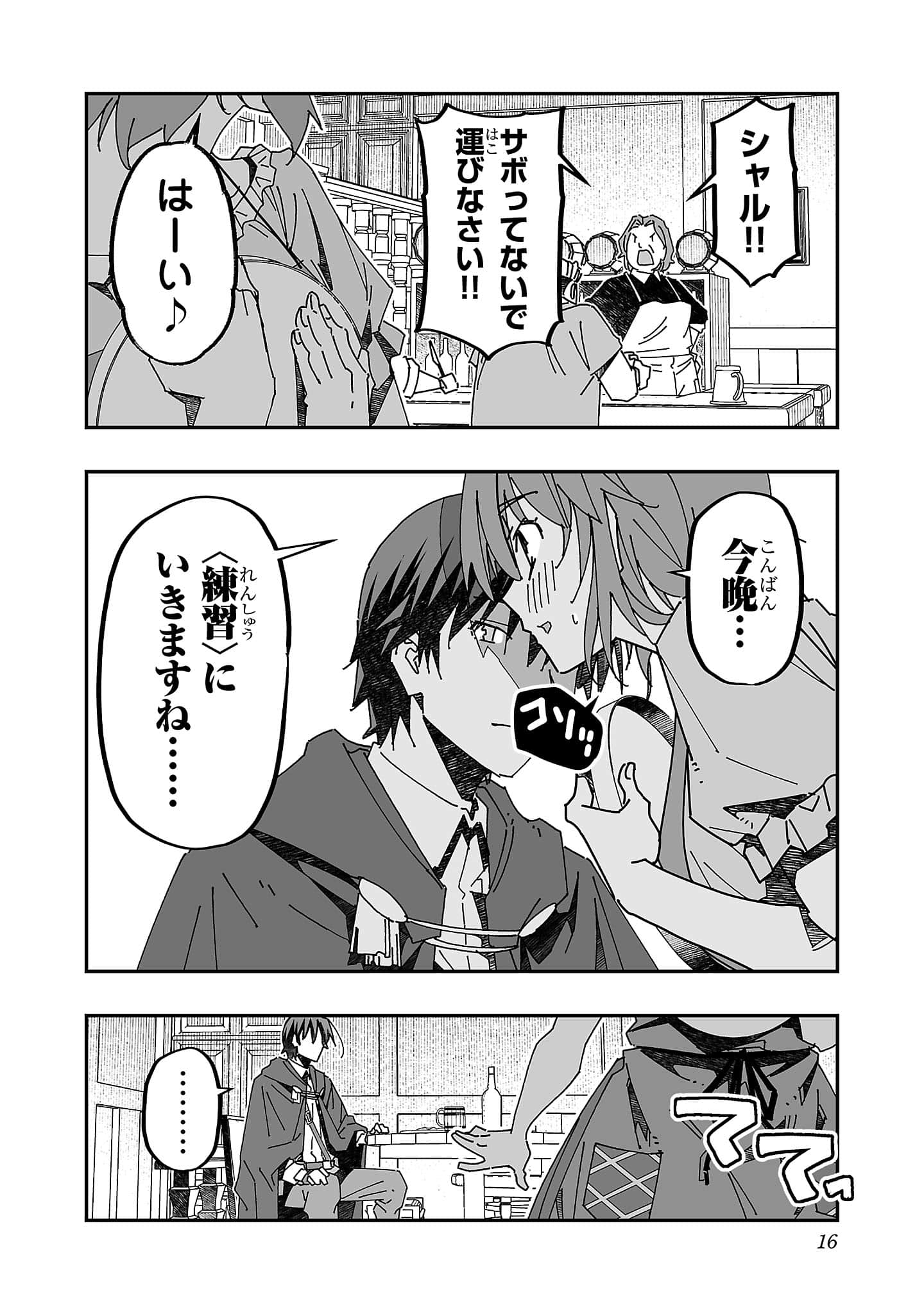 第 16 页