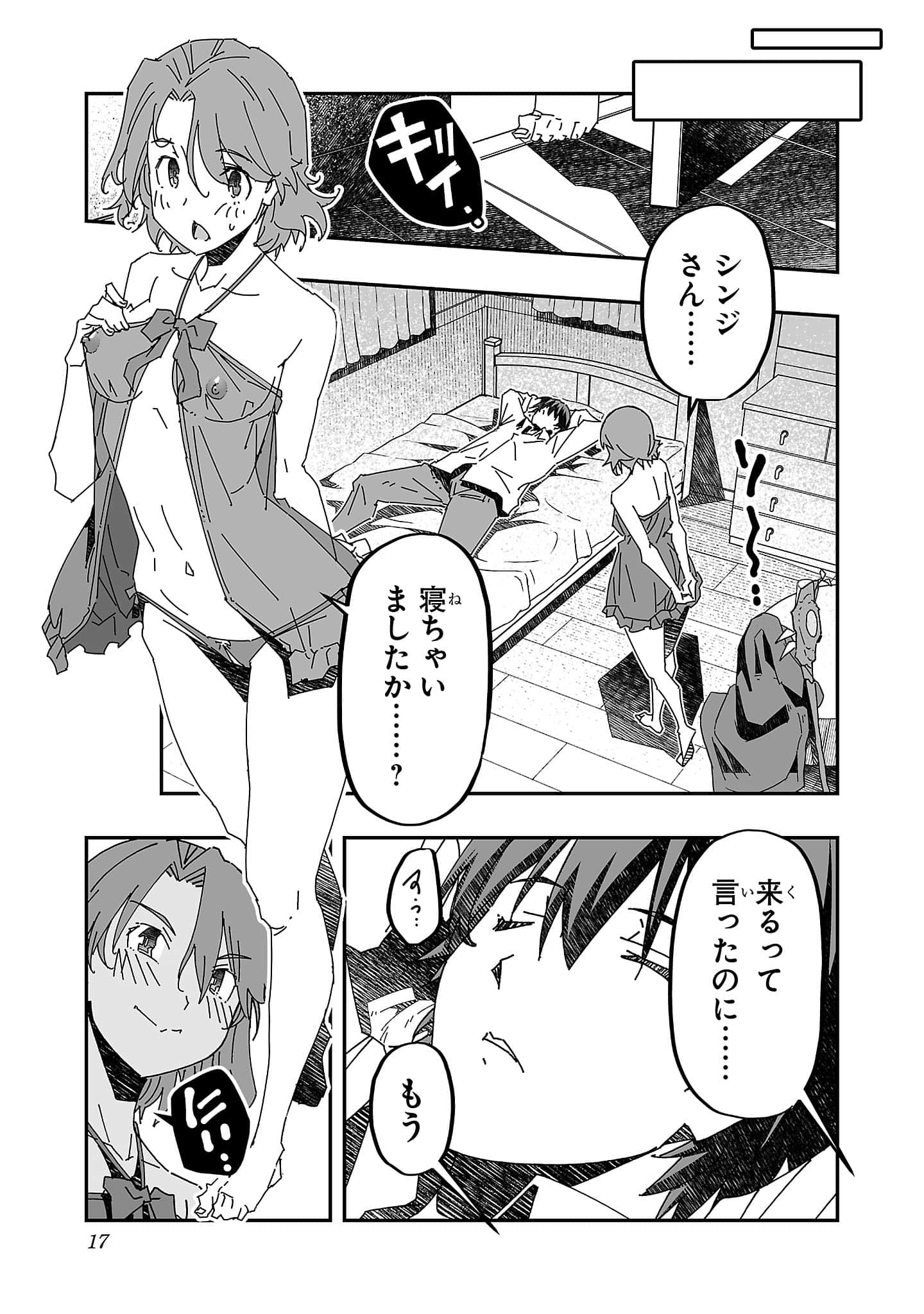 第 17 页