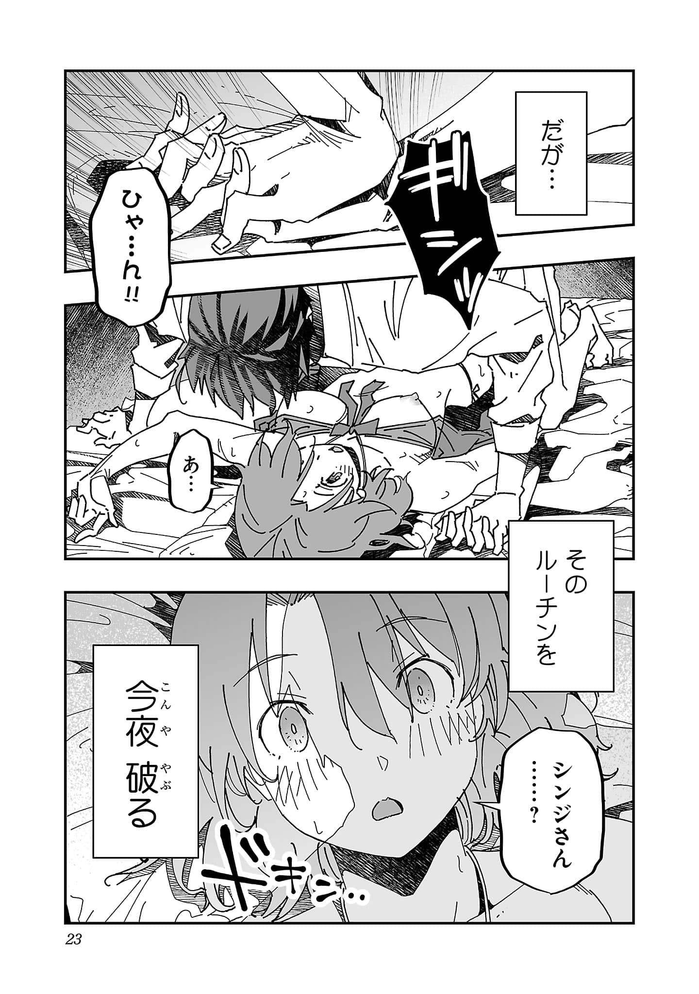 第 23 页
