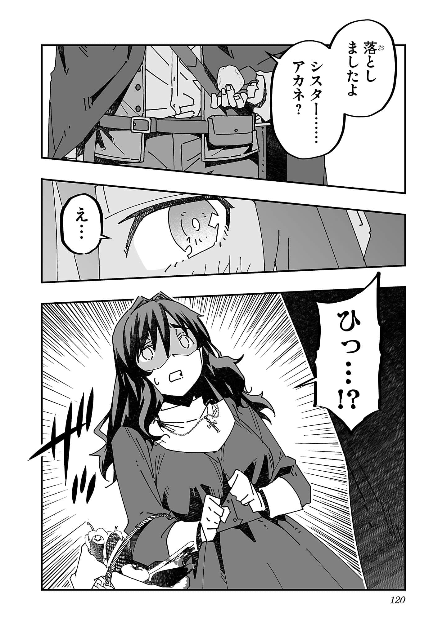第 120 页