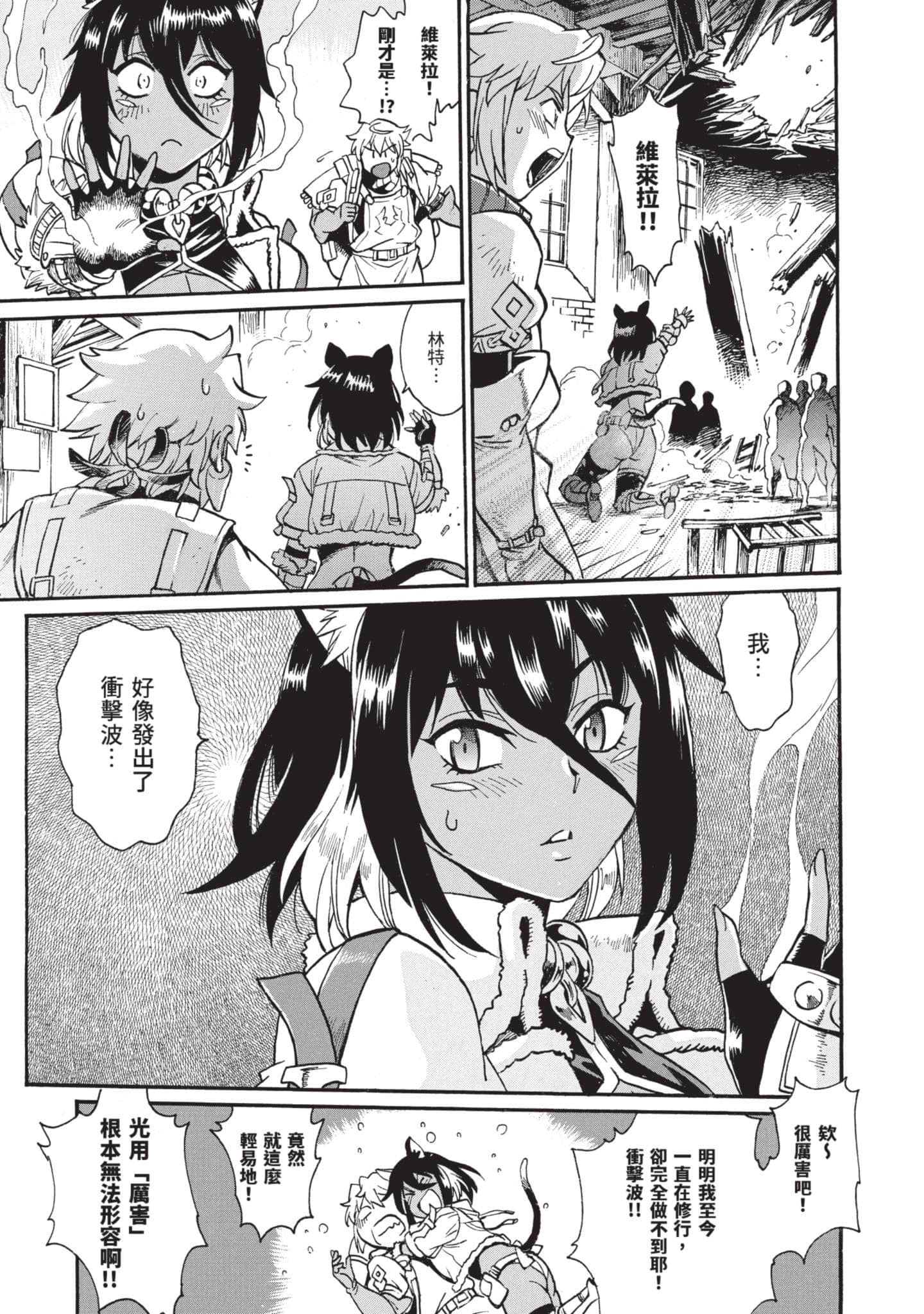 第 66 页