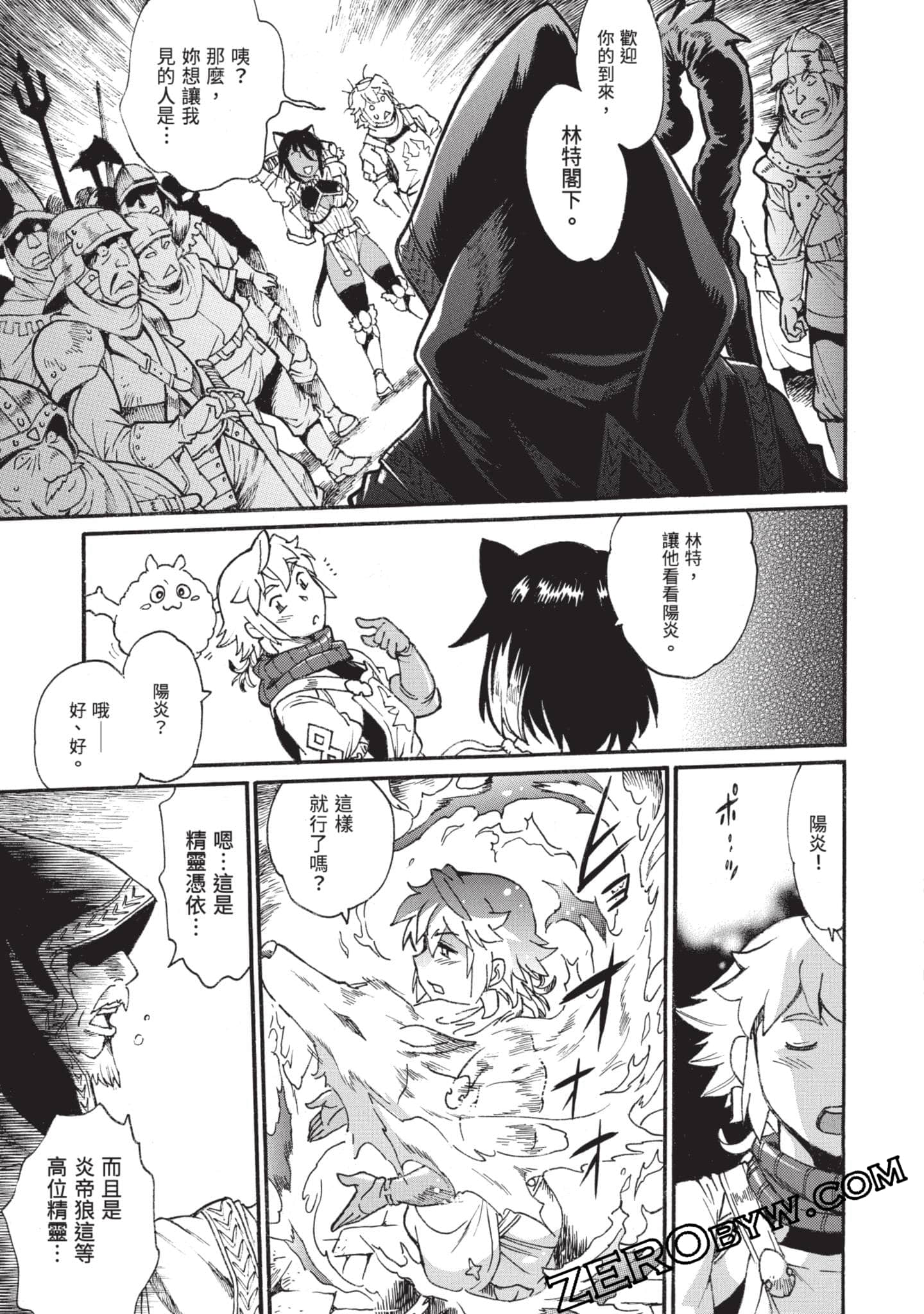 第 68 页