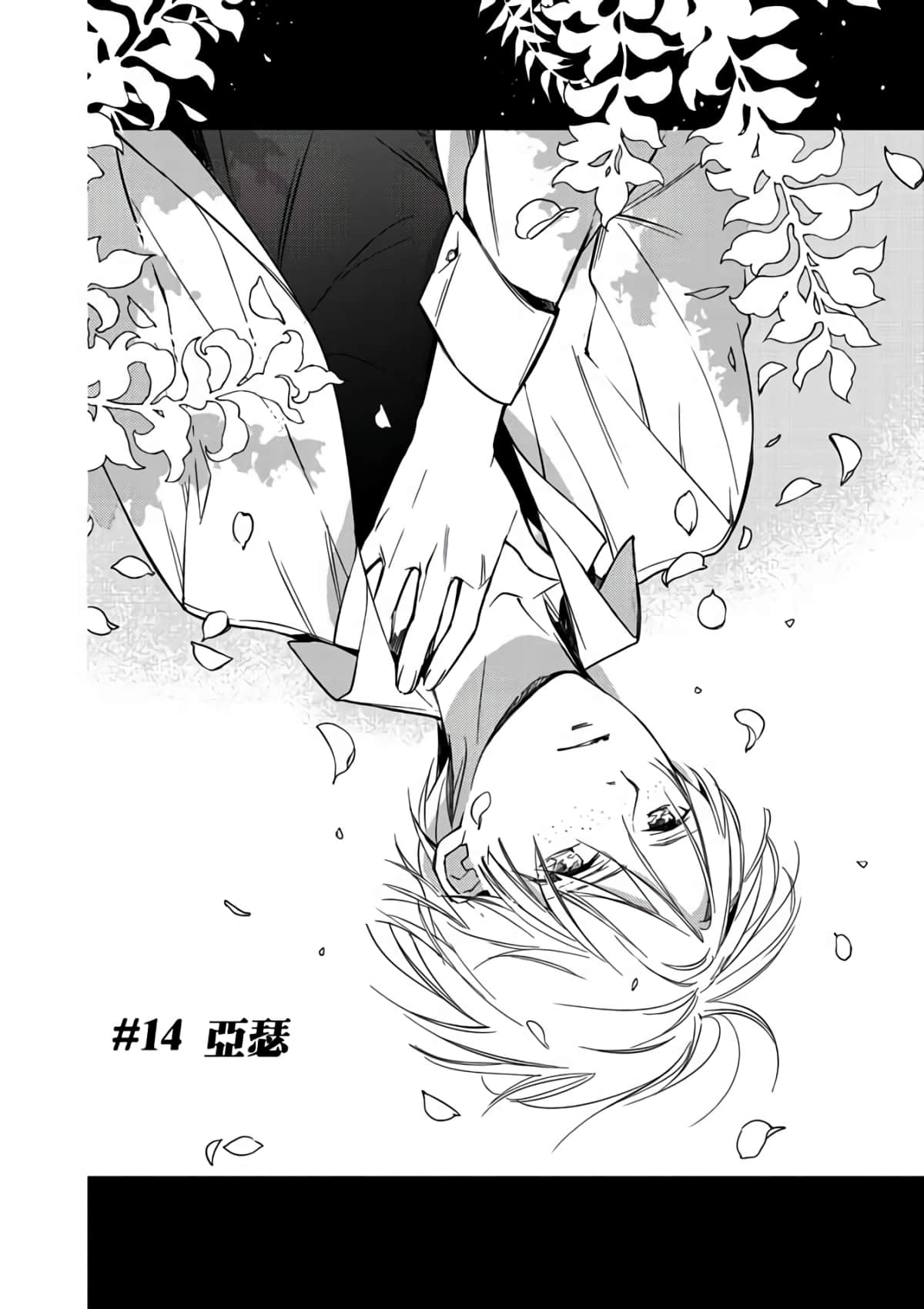 第 116 页