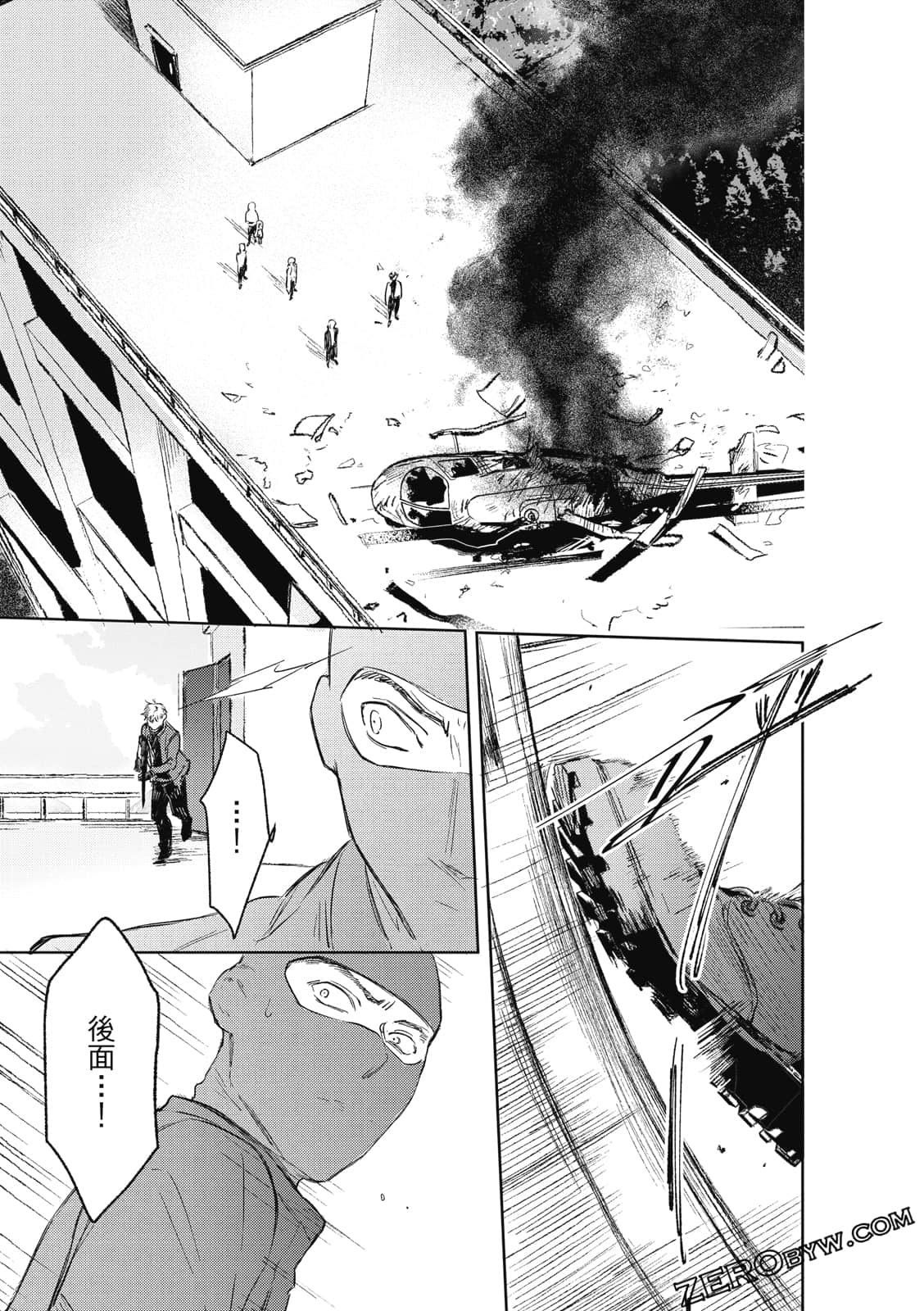 Page 113